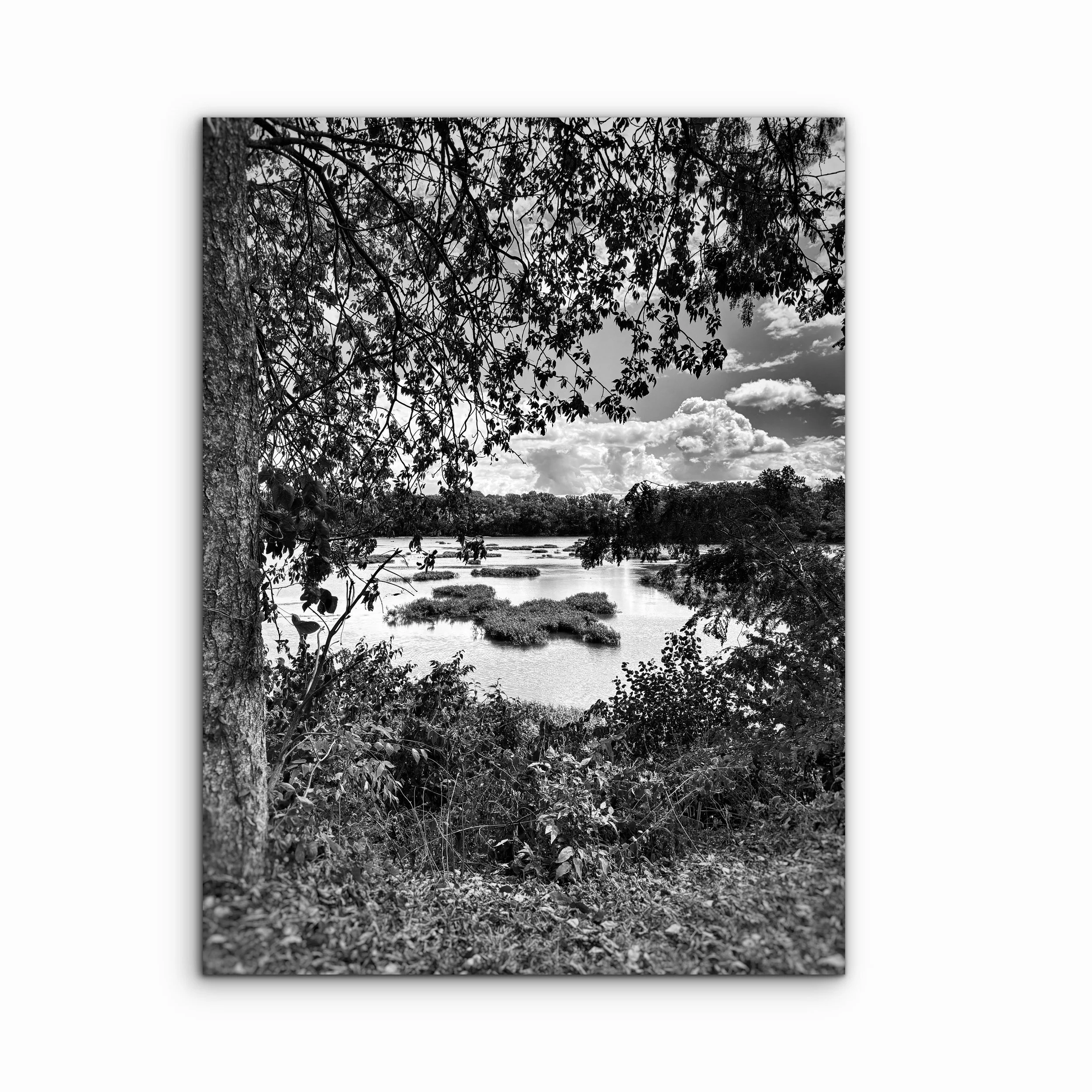 Finding Peace, Ohio.JPG