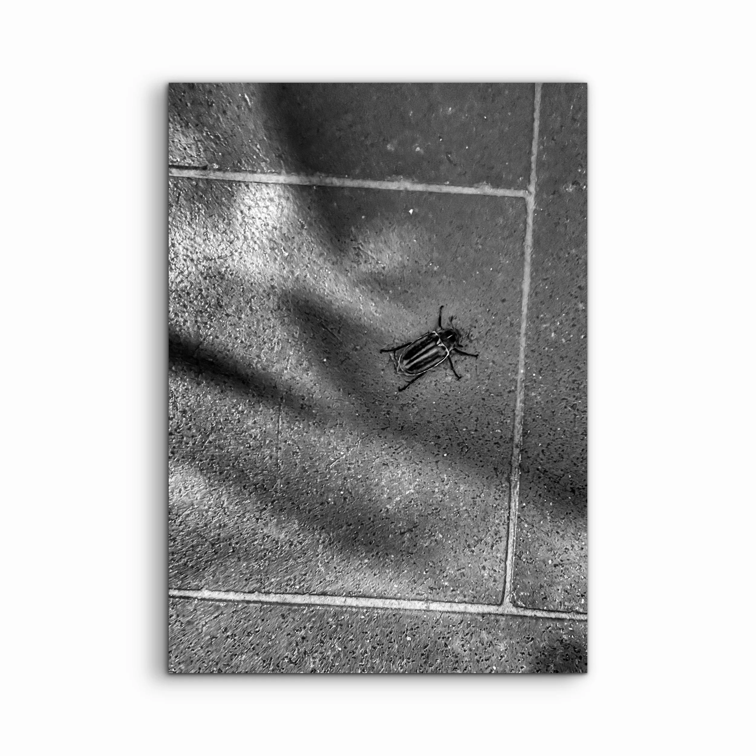 Beat It, Tuscany.JPG