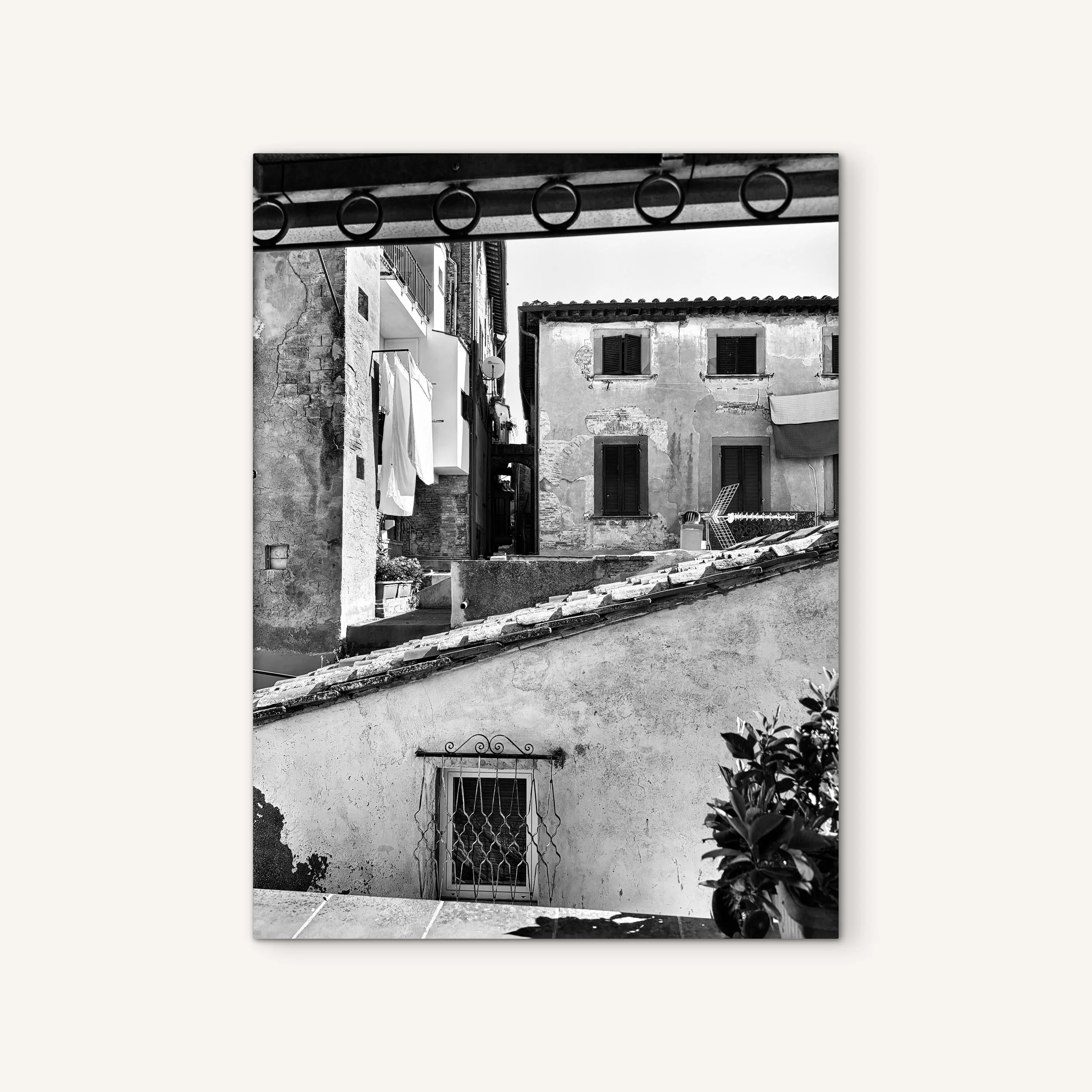 Laundry Day on White.JPG