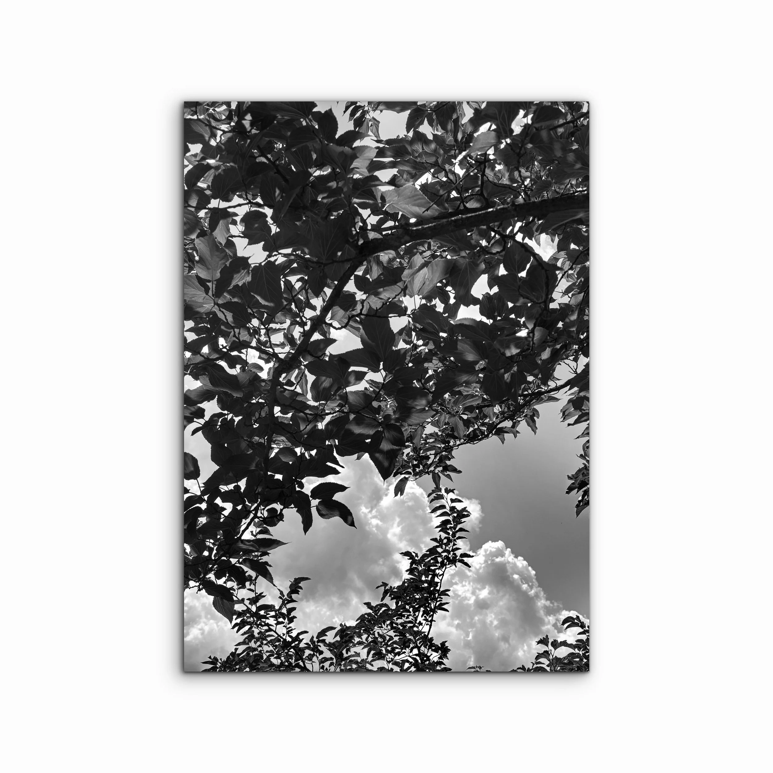 Wellness IV | Bologna, Italy