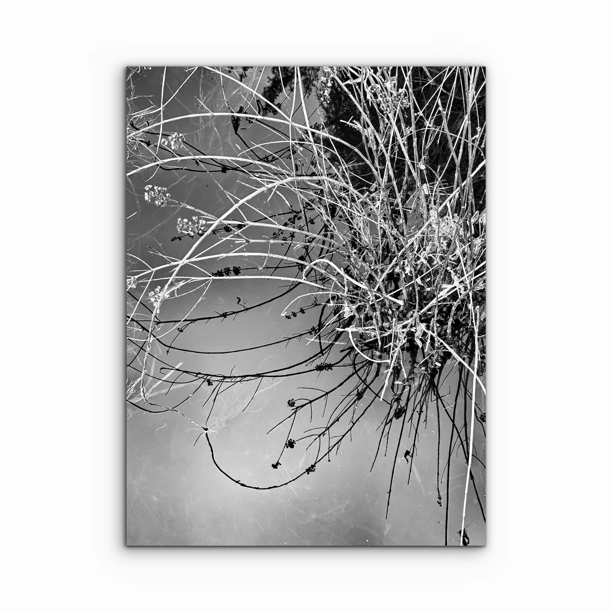 Above and Below, Saugatuck.JPG