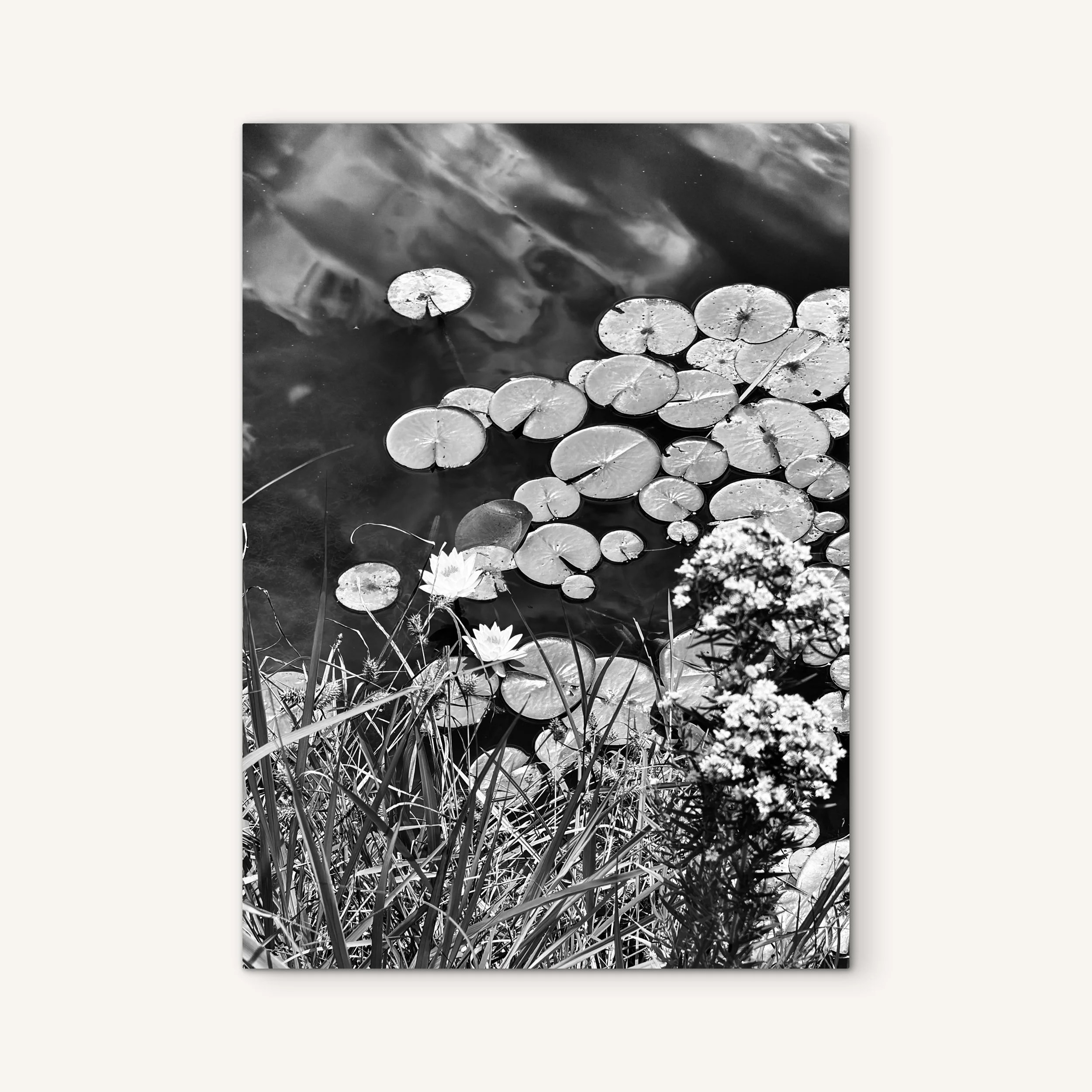 Monet Calling | Ohio