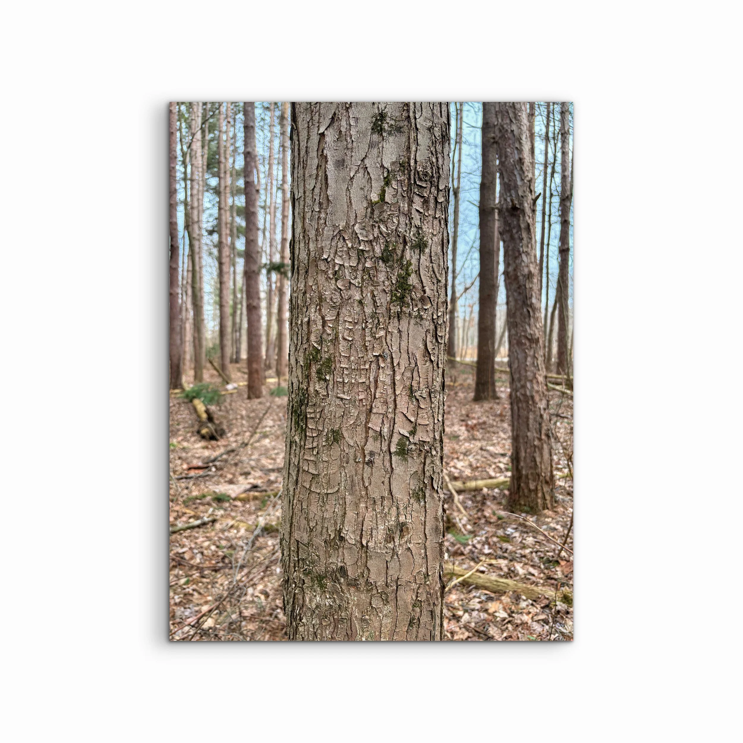 Take the Time | Ohio