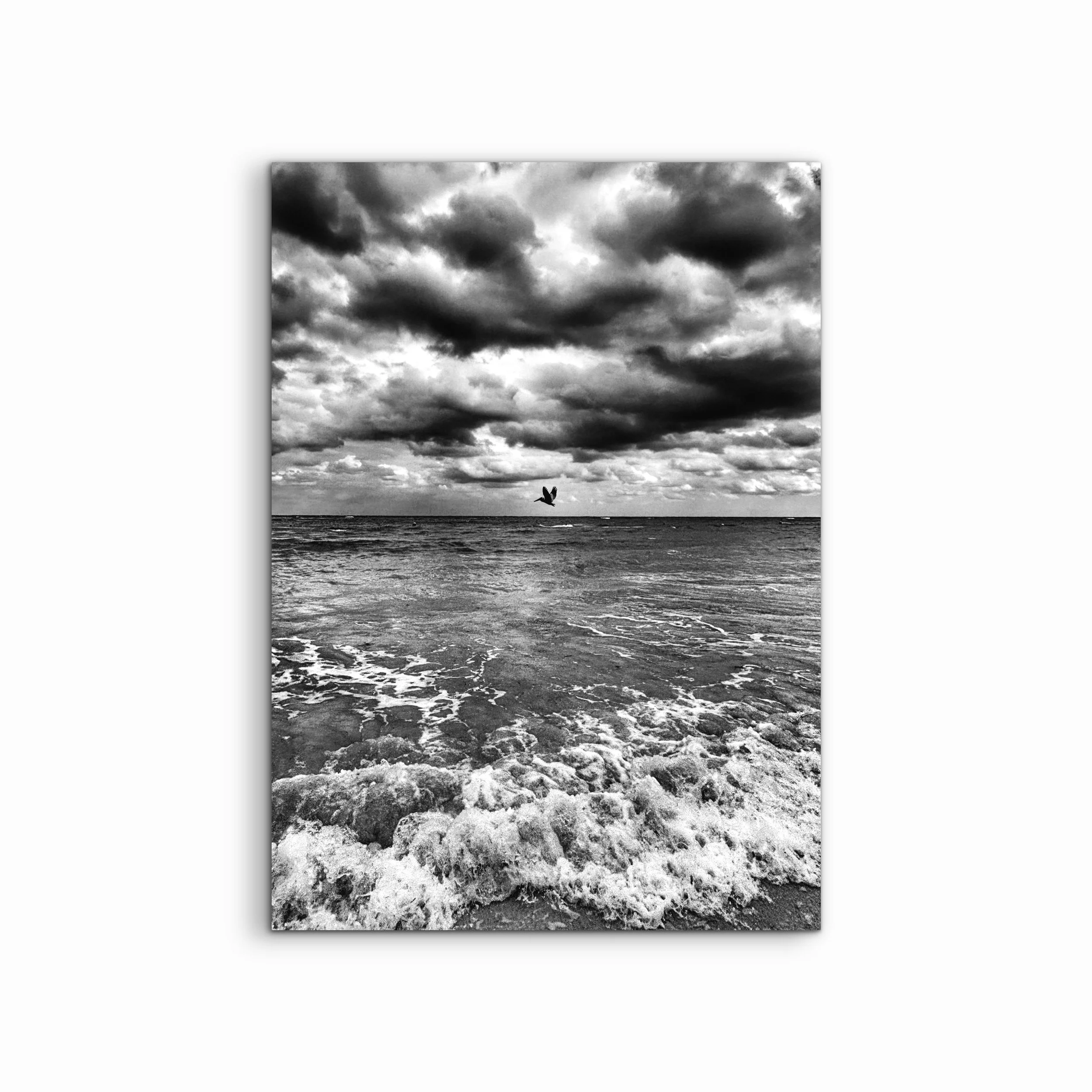 Take Flight | Punta Cana