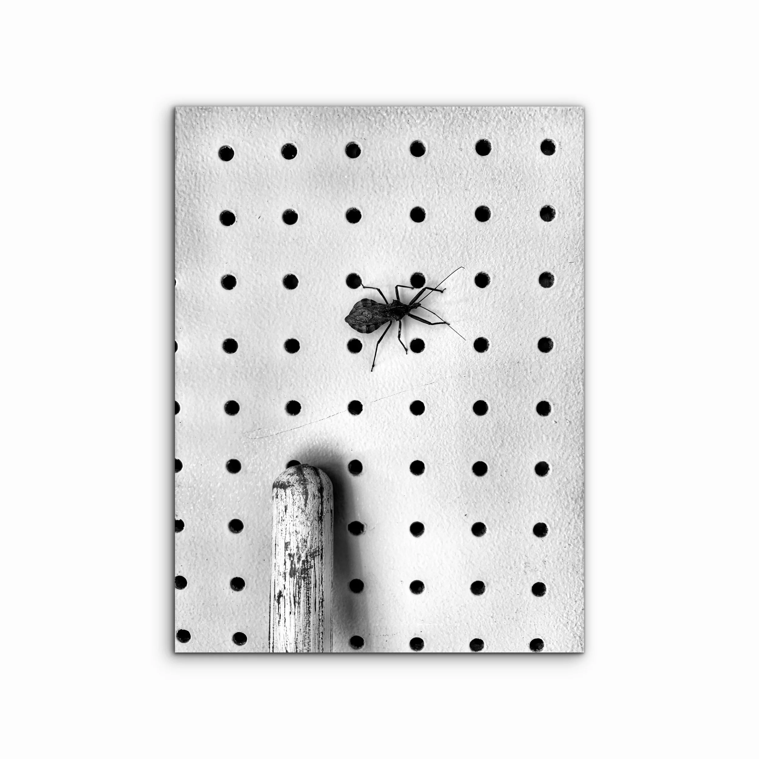 Garage Visitor | Ohio