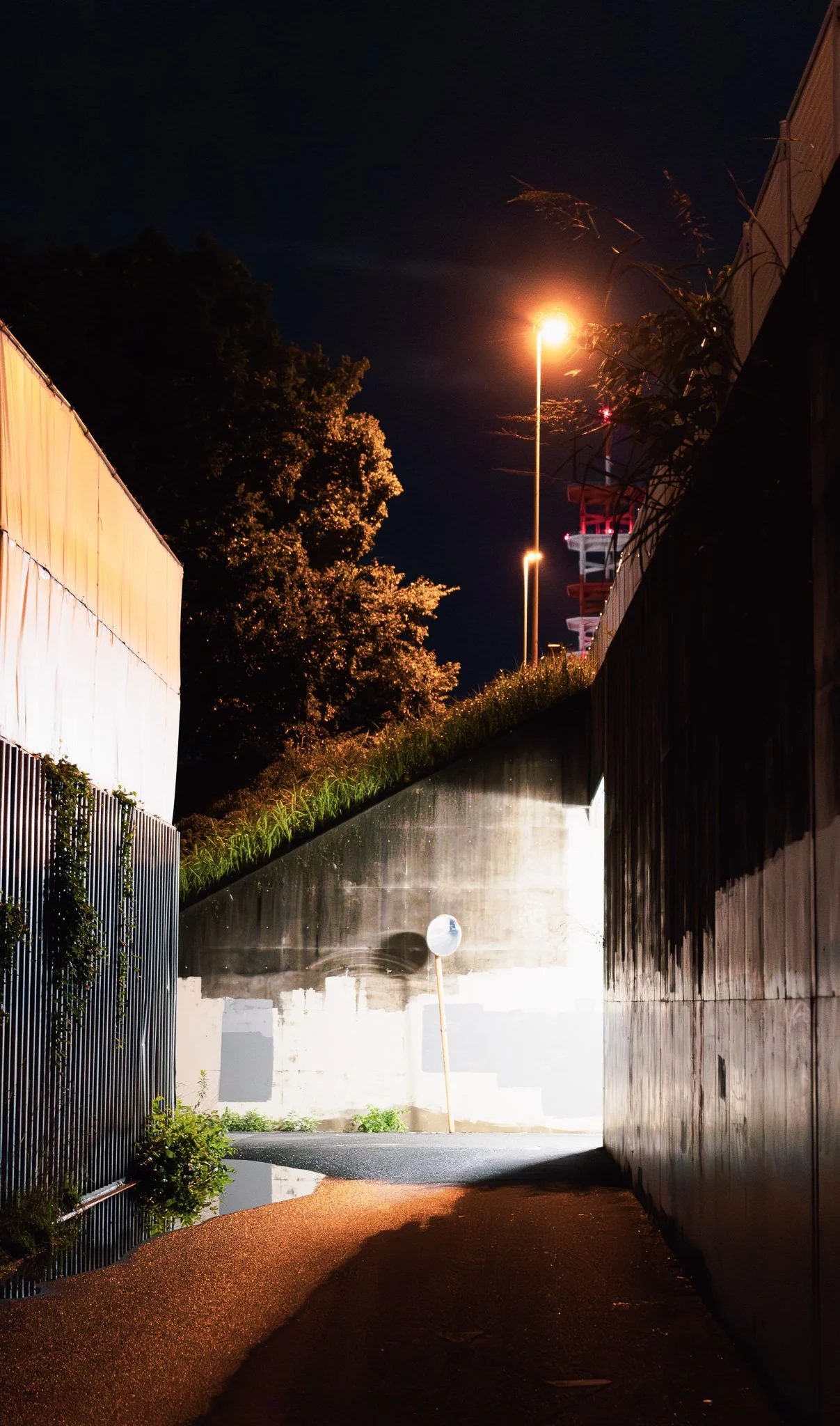 "nur einmal-jetzt nur"