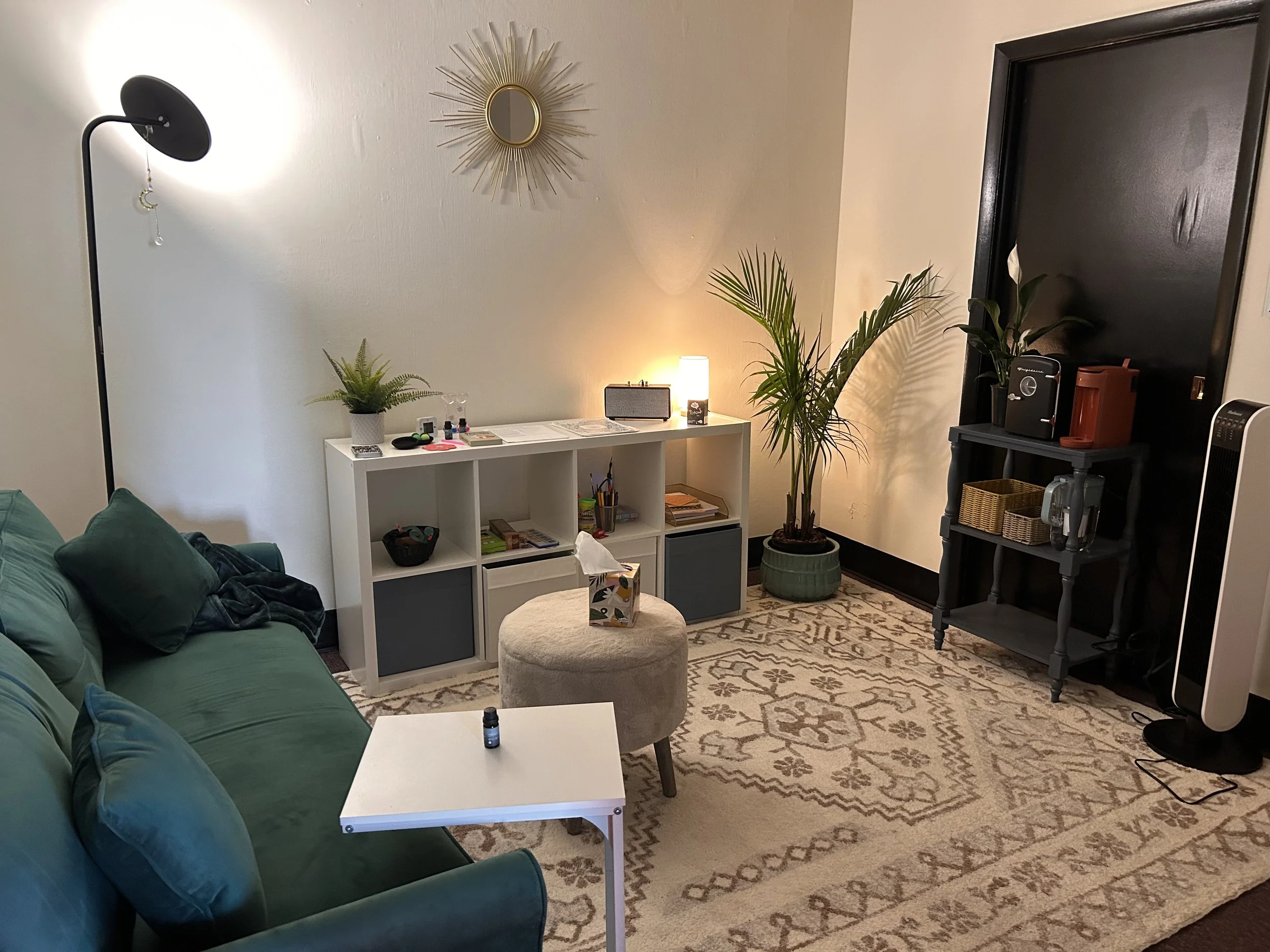 A living room with a green couch, a white coffee table, a beige ottoman, a white bookshelf with plants, a lamp, and decorative items, a black door, and a black shelf with plants and electronics. A large beige and white patterned rug covers the floor.