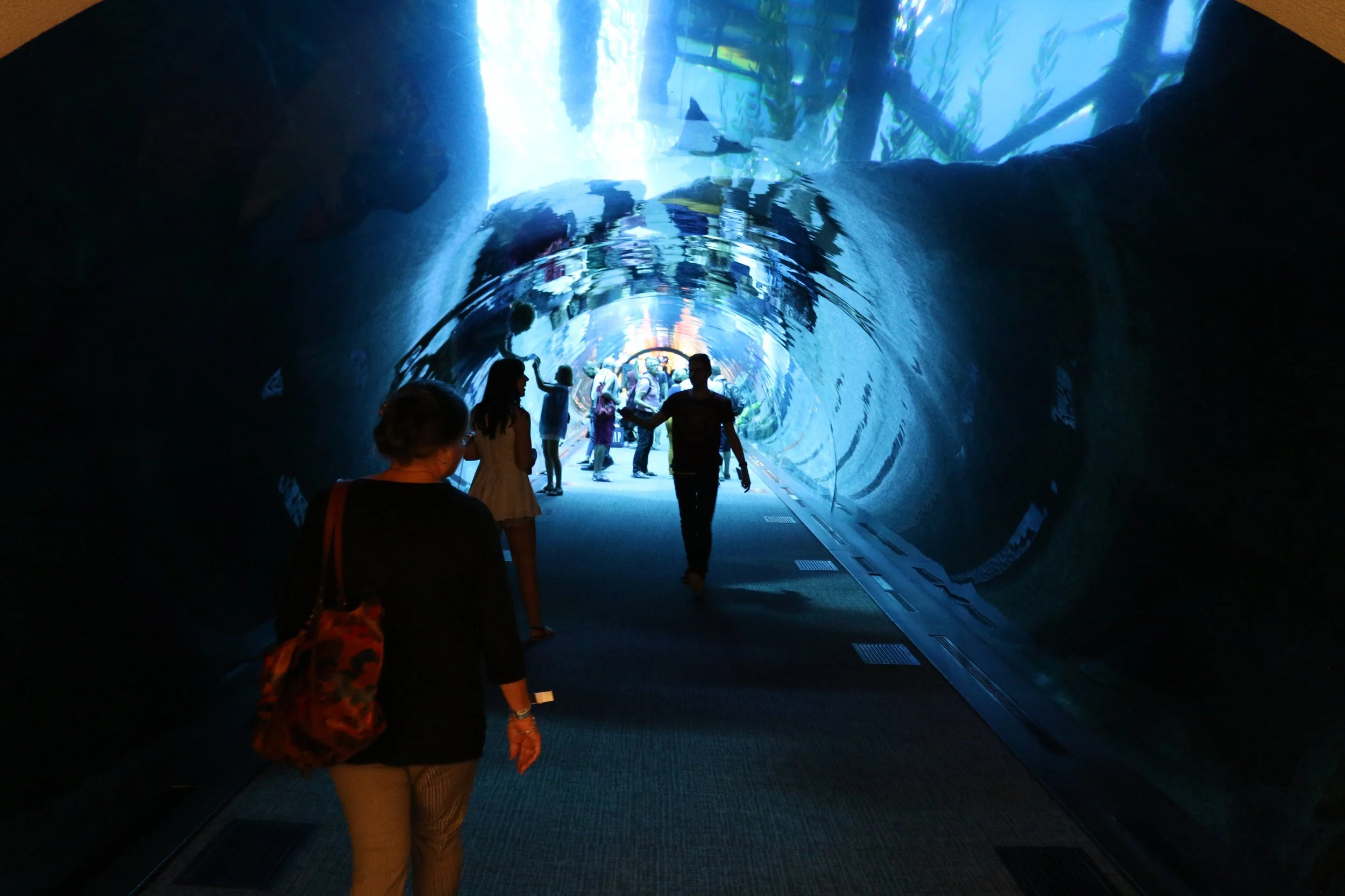Dubai’s Underwater Zoo