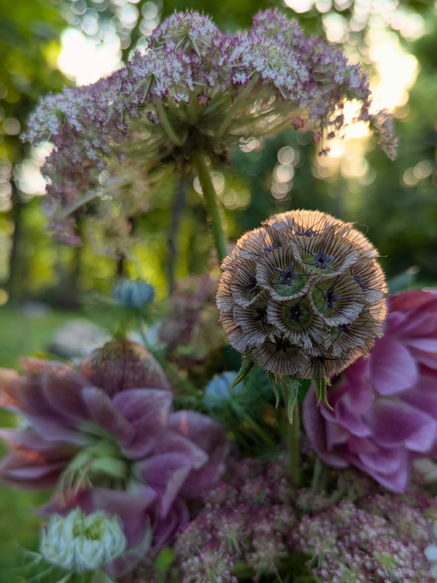 Sympathy arrangements details ✨
Aim was to be more of a wildflower foliage style that wasn&rsquo;t too floral or color heavy. Scabiosa pods and late spring hellebore added something extra special 🤍

#floraldesign #sympathyflowers