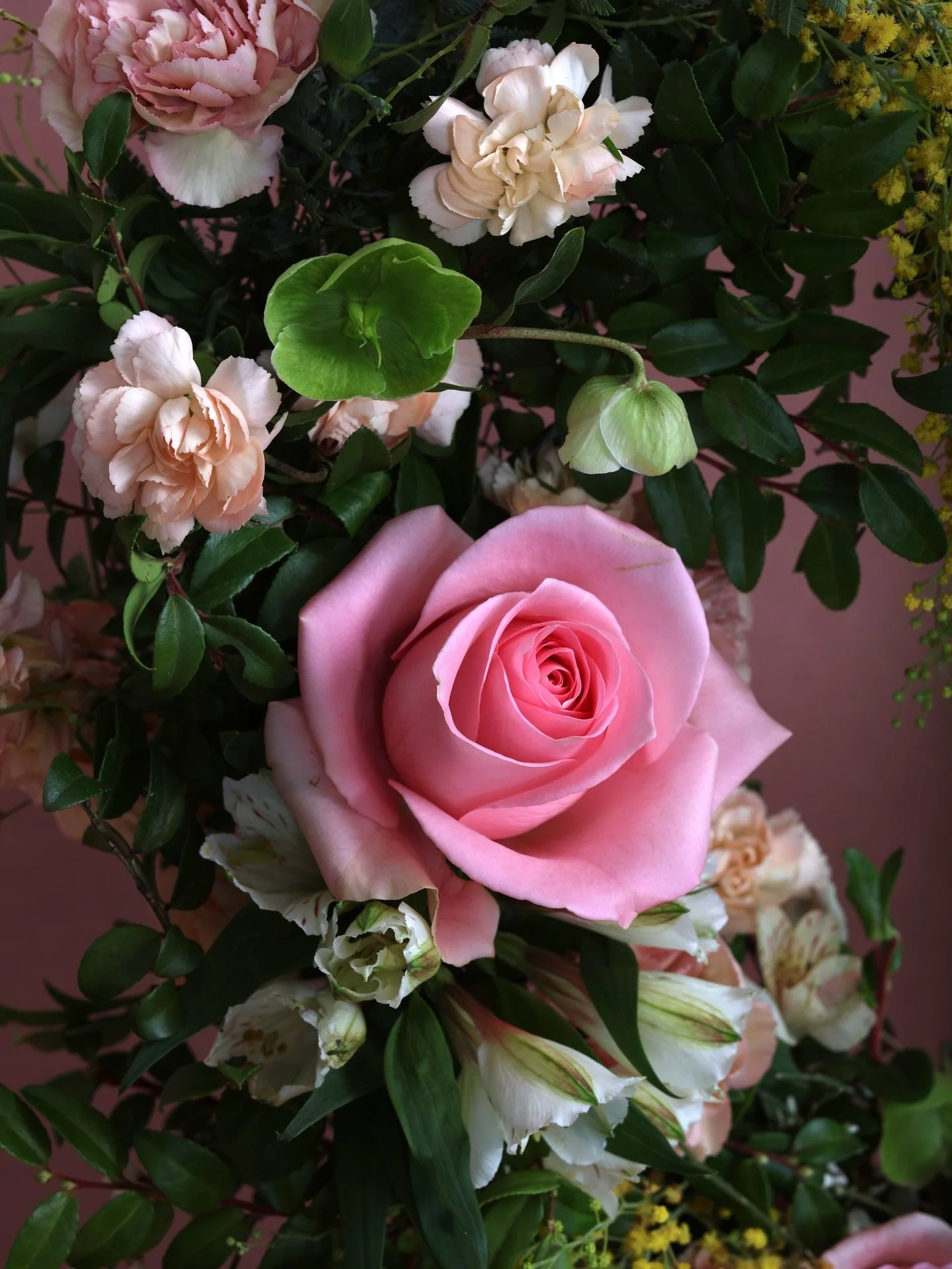 Maybe my favorite detail photo I&rsquo;ve ever taken, feels like a painting 🌸 pretty things in the studio all week for valentines 💝 still need some floral fun for next weekend? DM or online for pickup / delivery, or come hang out at The Grazery on 