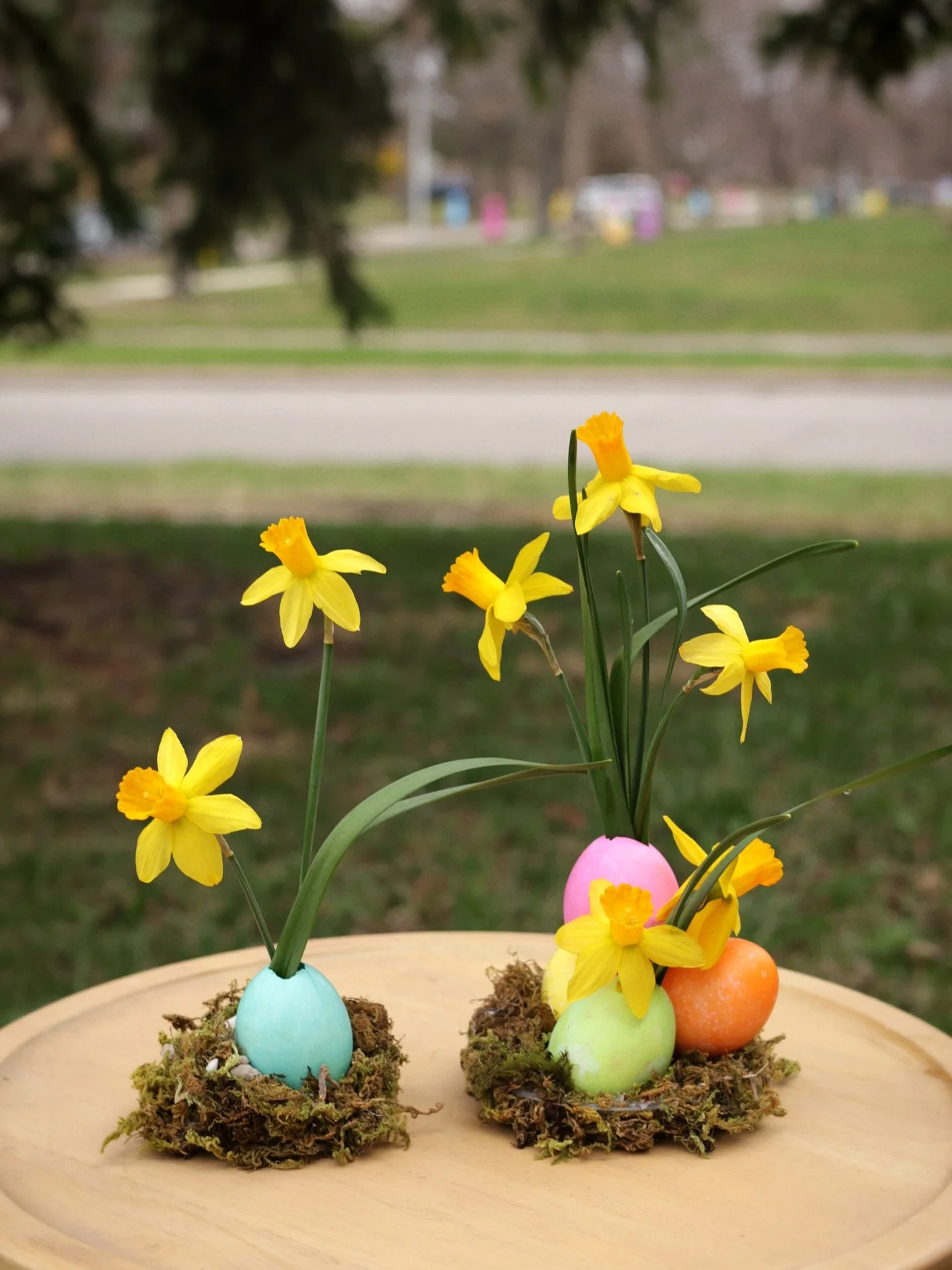 Wishing everybunny an eggcelent Easter!!🐣🌼

#floraldesign #daffodils #happyeaster