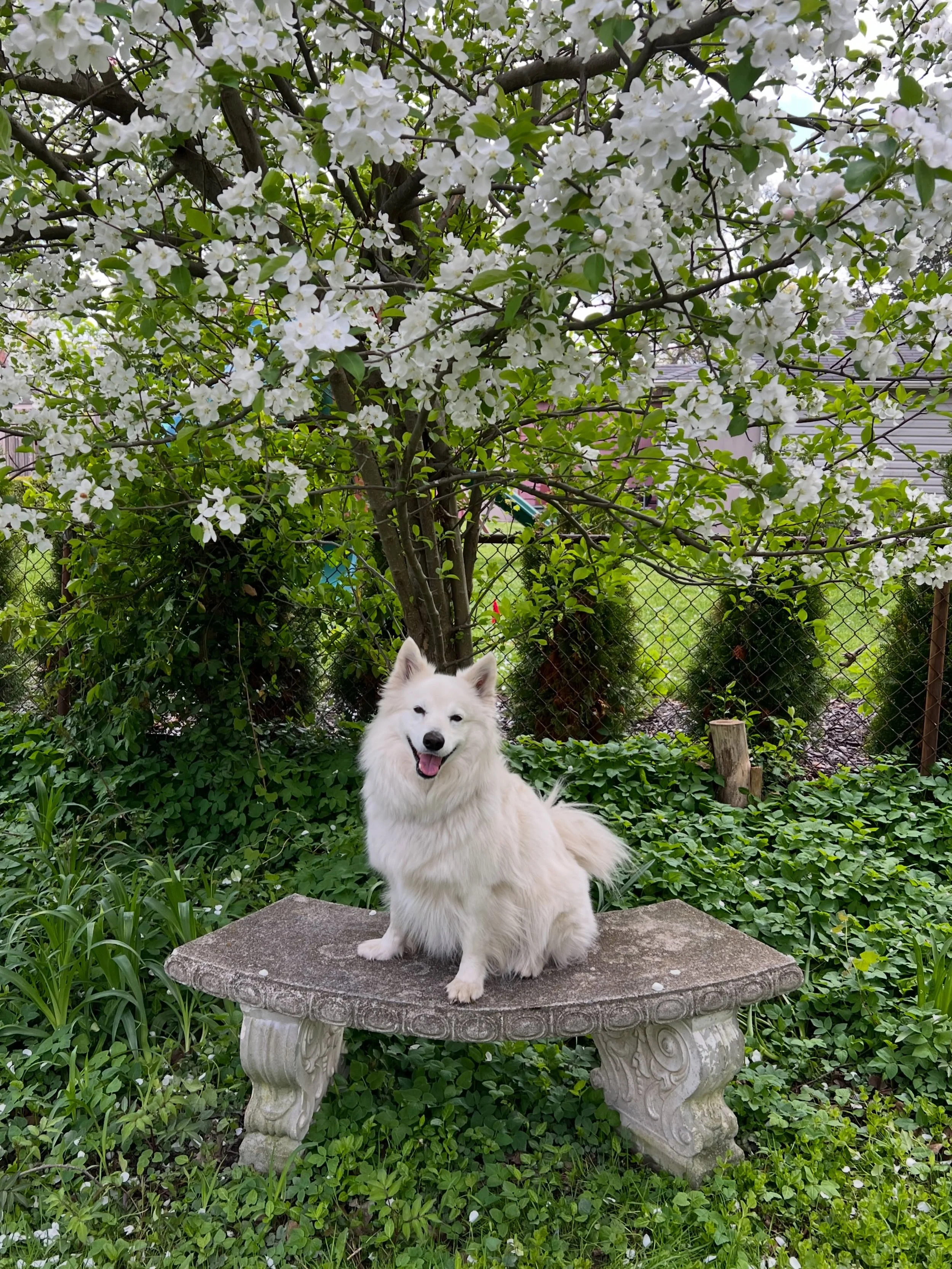 Spring in bloom 🌸 don&rsquo;t forget to stop and smell the flowers 💗 lots of magical things to share from the past month+, feeling very grateful and excited for what&rsquo;s to come 🌷💕🫶