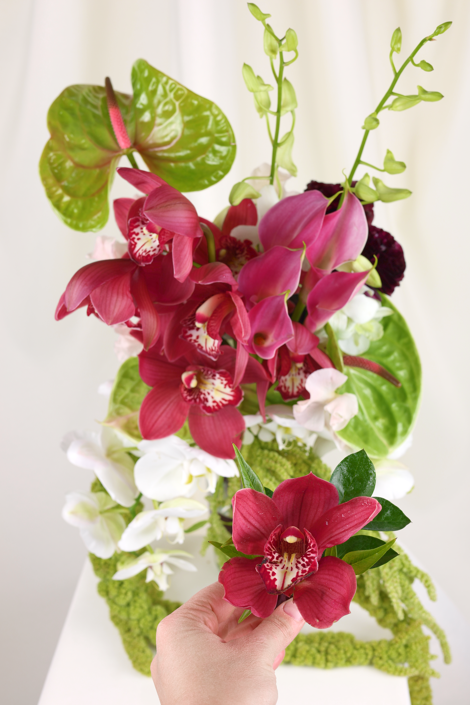 Still 2025-12-29 160520_2.8.1.png