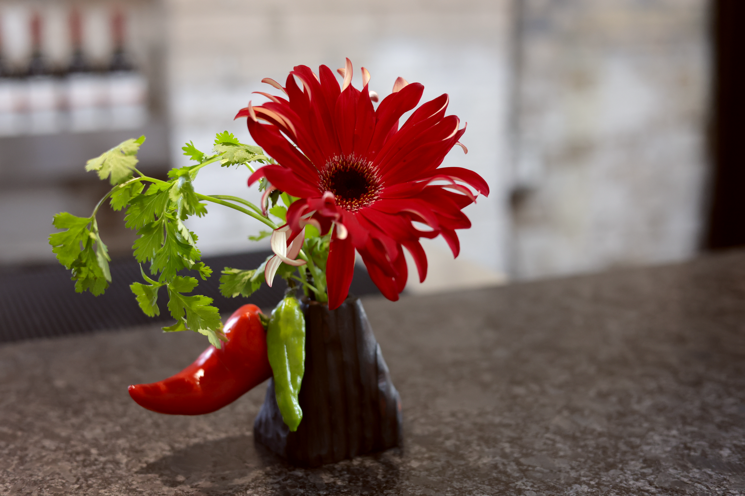 Still 2026-03-05 133929_1.16.1.png