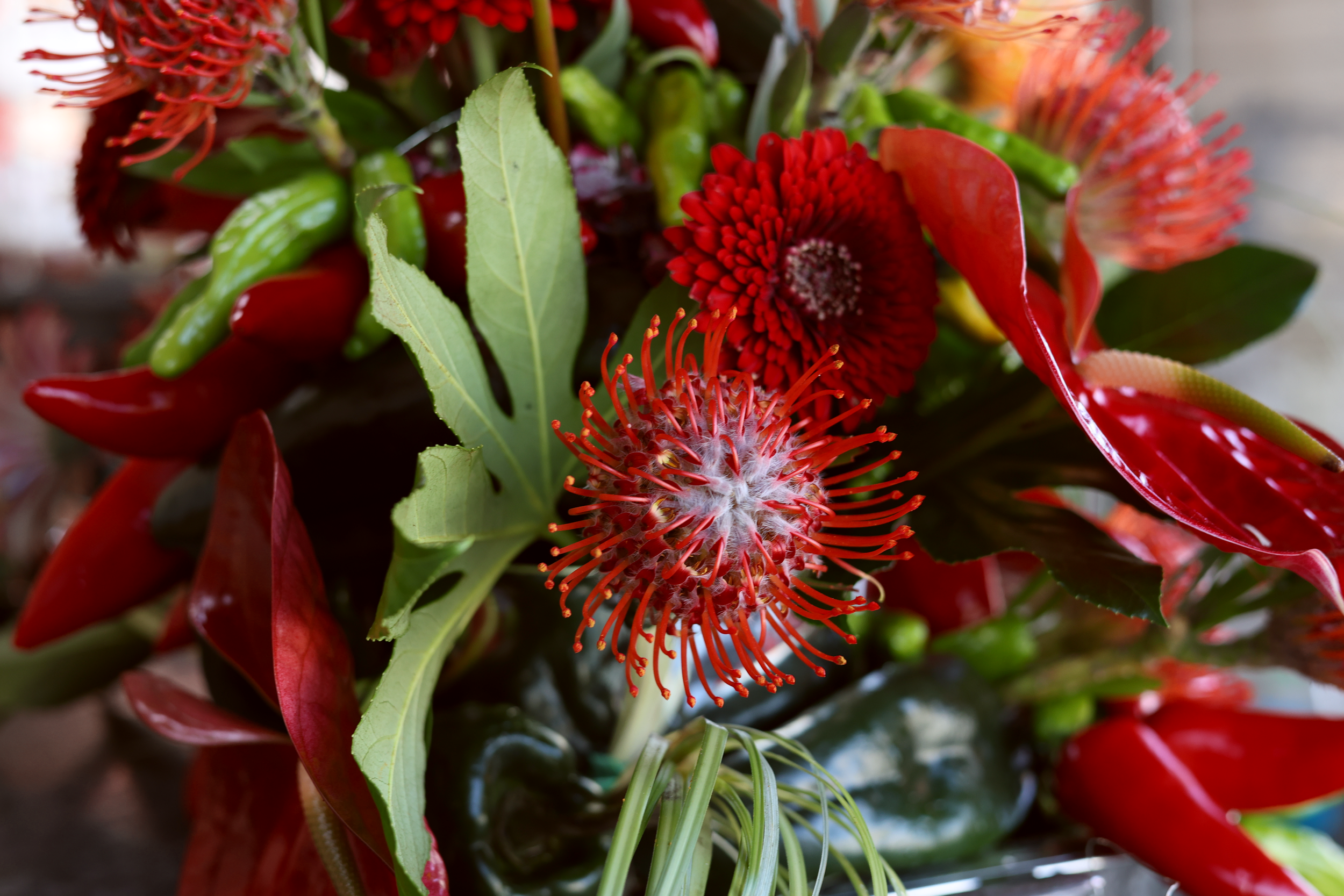 Still 2026-03-05 133929_1.5.1.png