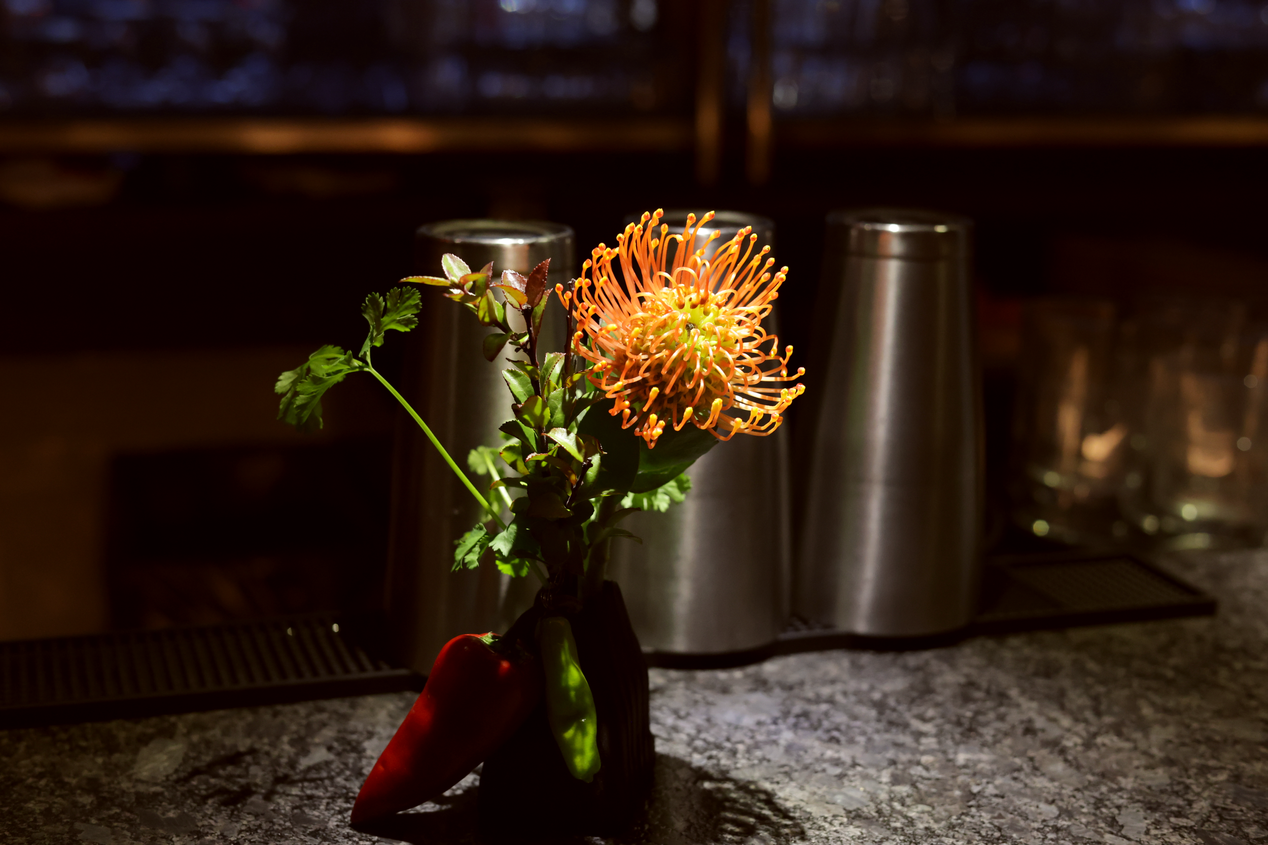 Still 2026-03-05 133929_1.27.1.png