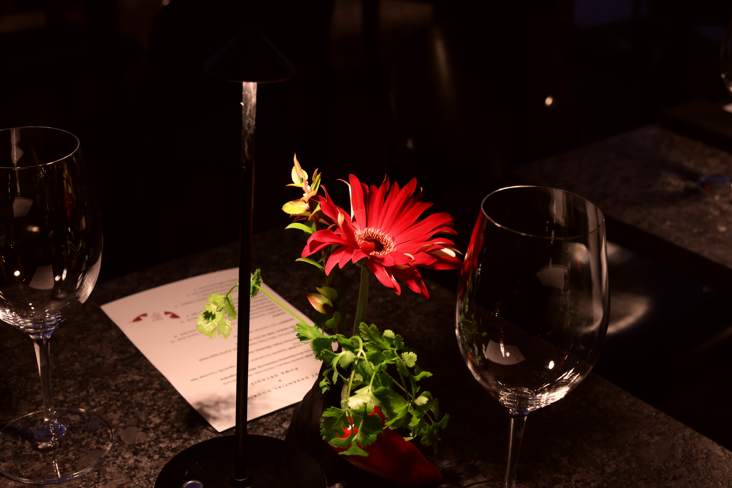 Still 2026-03-05 133929_1.28.1.png