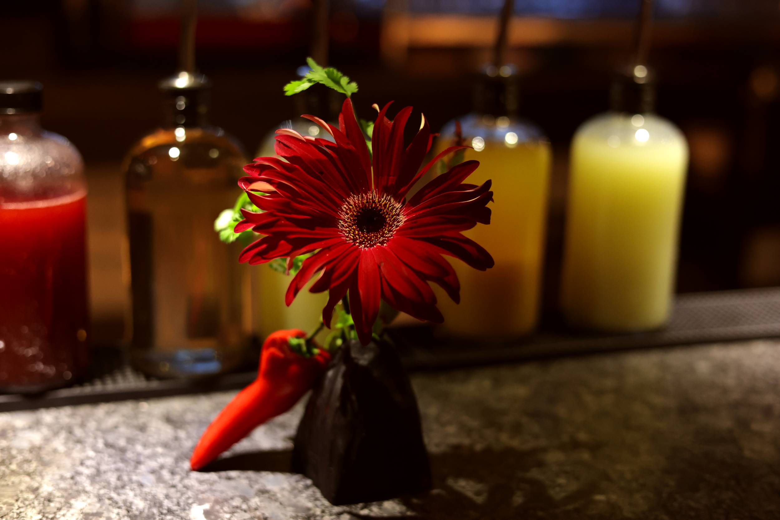 Still 2026-03-05 133929_1.26.1.png