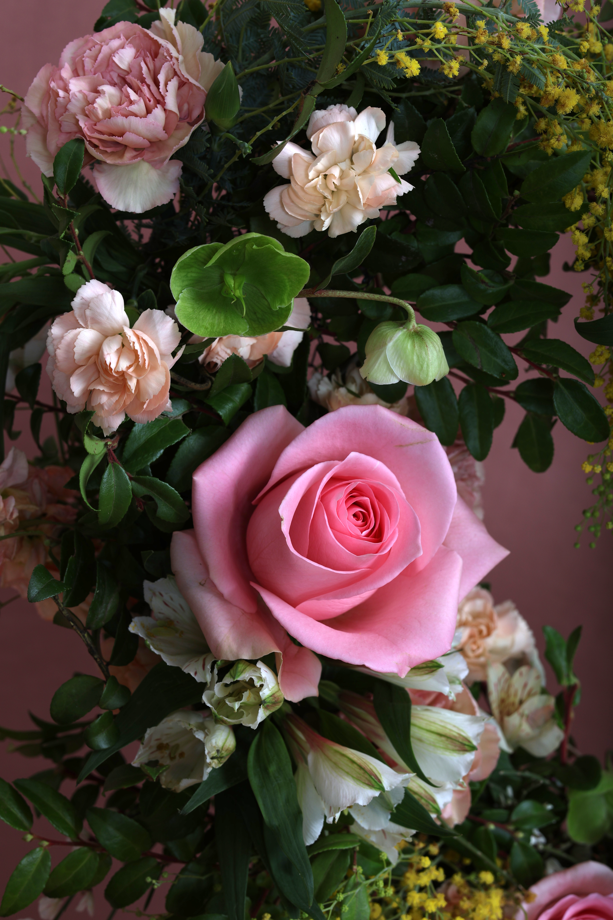 Still 2026-01-29 185237_1.7.1.png