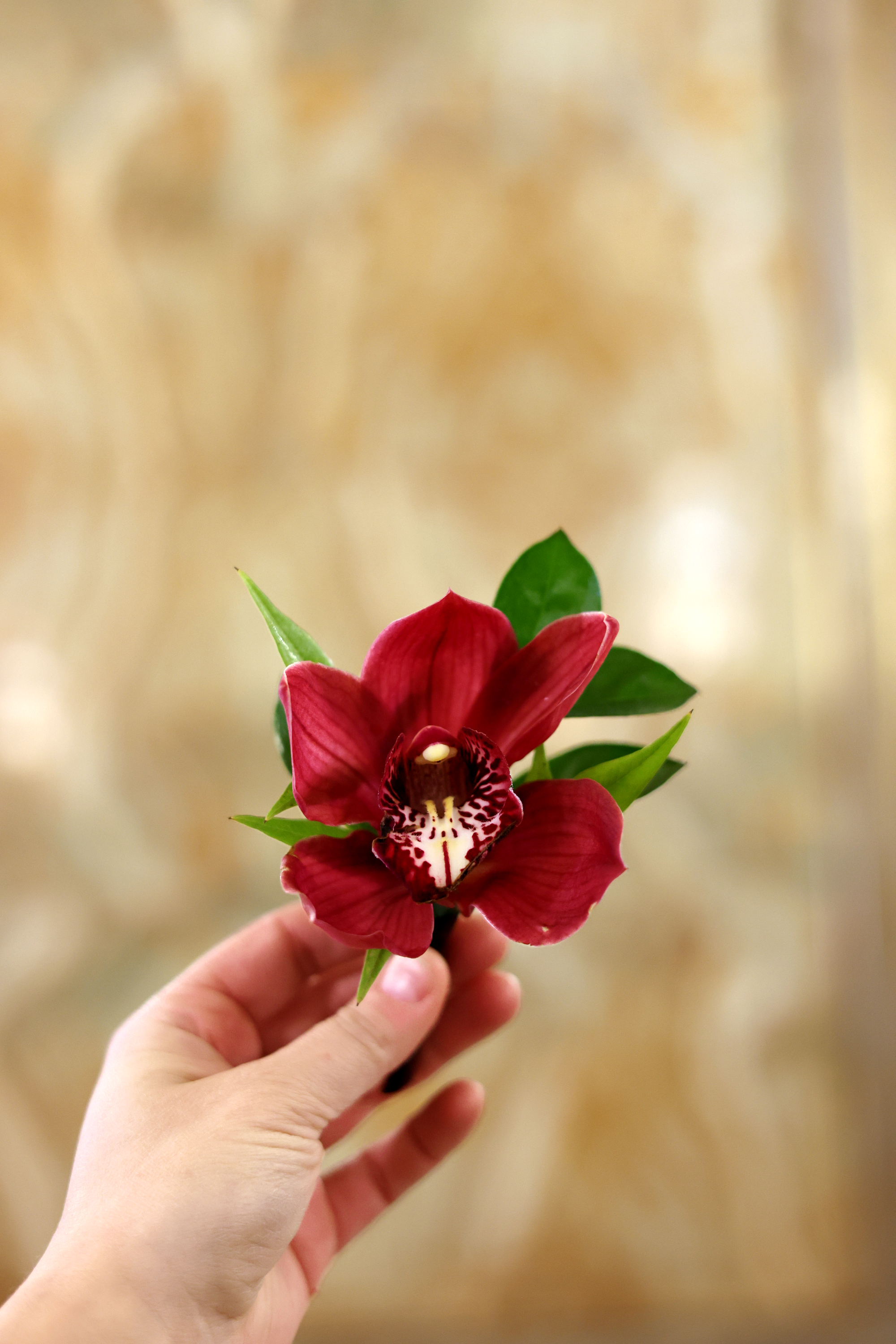 Still 2025-12-29 160520_2.2.1.png