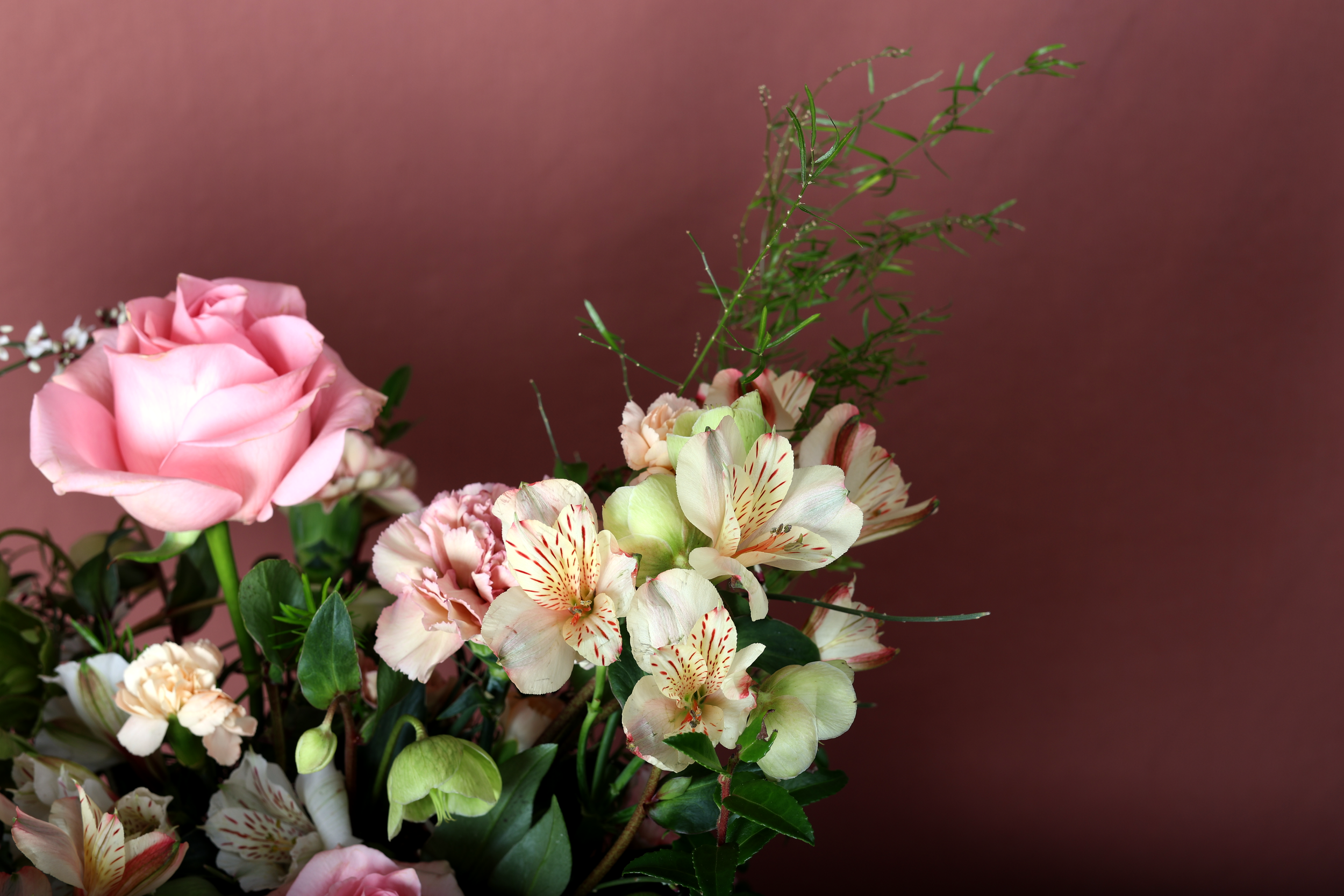 Still 2026-01-29 185126_1.3.1.png