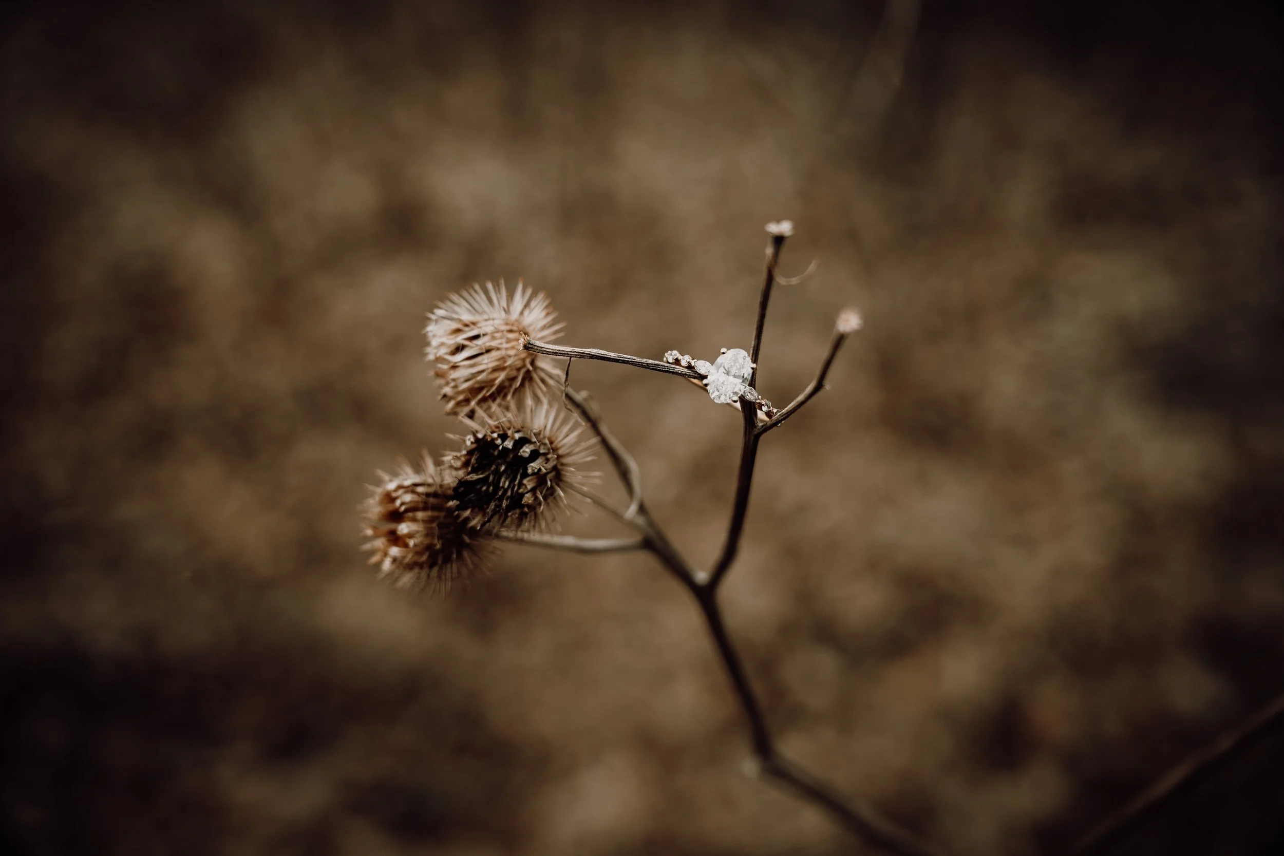 Engagement Photos in Fargo, ND | Makayla &amp; Pete