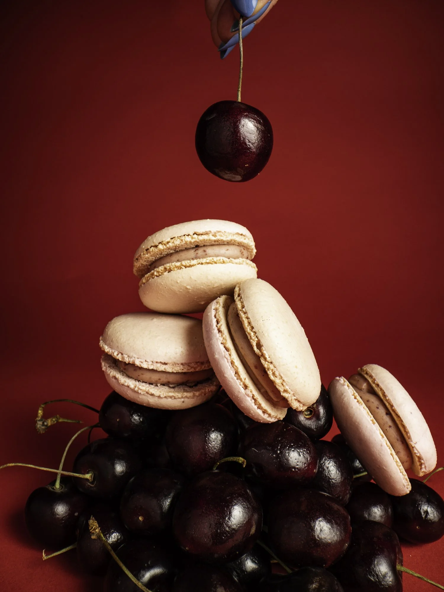 Pink macarons stacked on top of a pile of black cherries with a single cherry and morrison on top, against a bright red background.