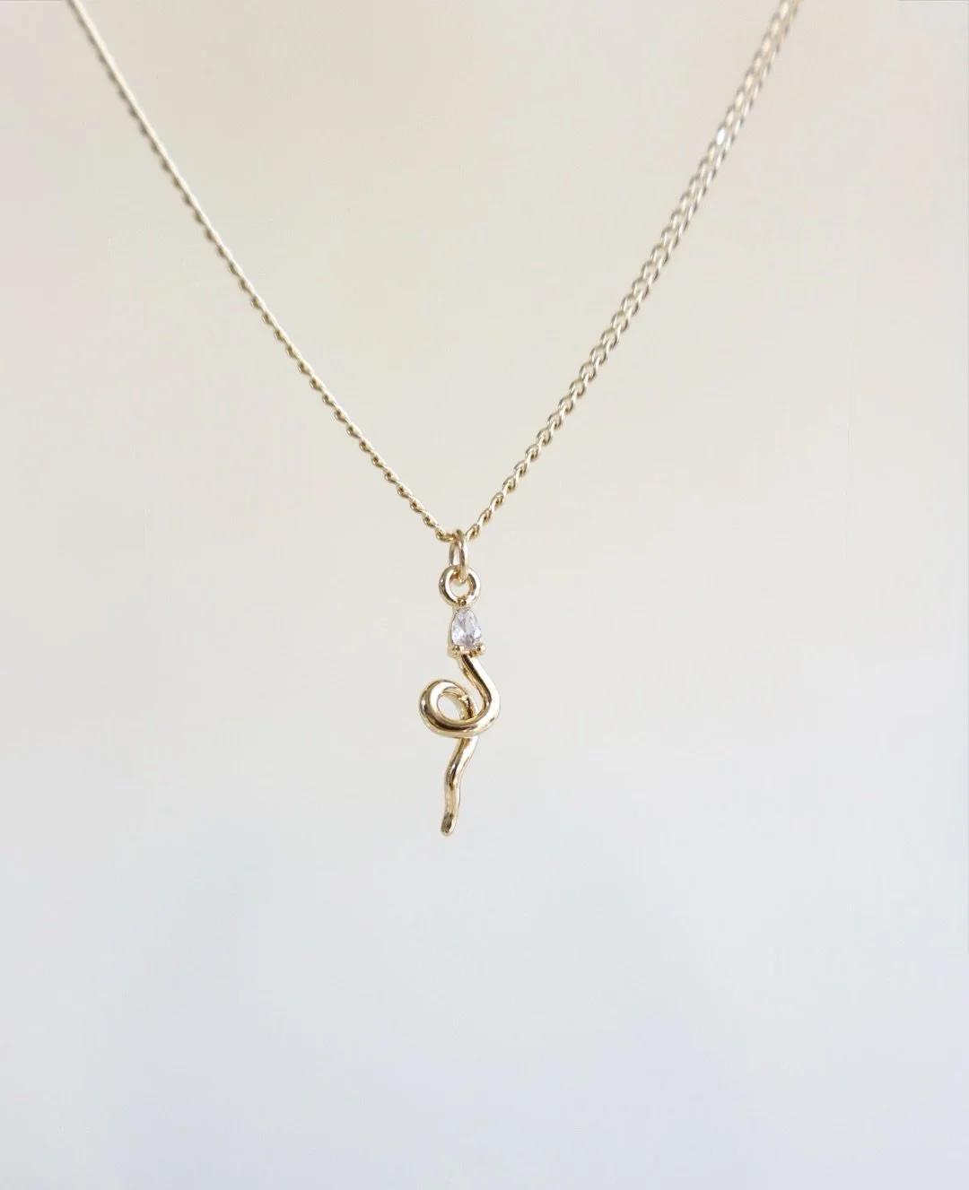 Dainty Snake Charm Necklace