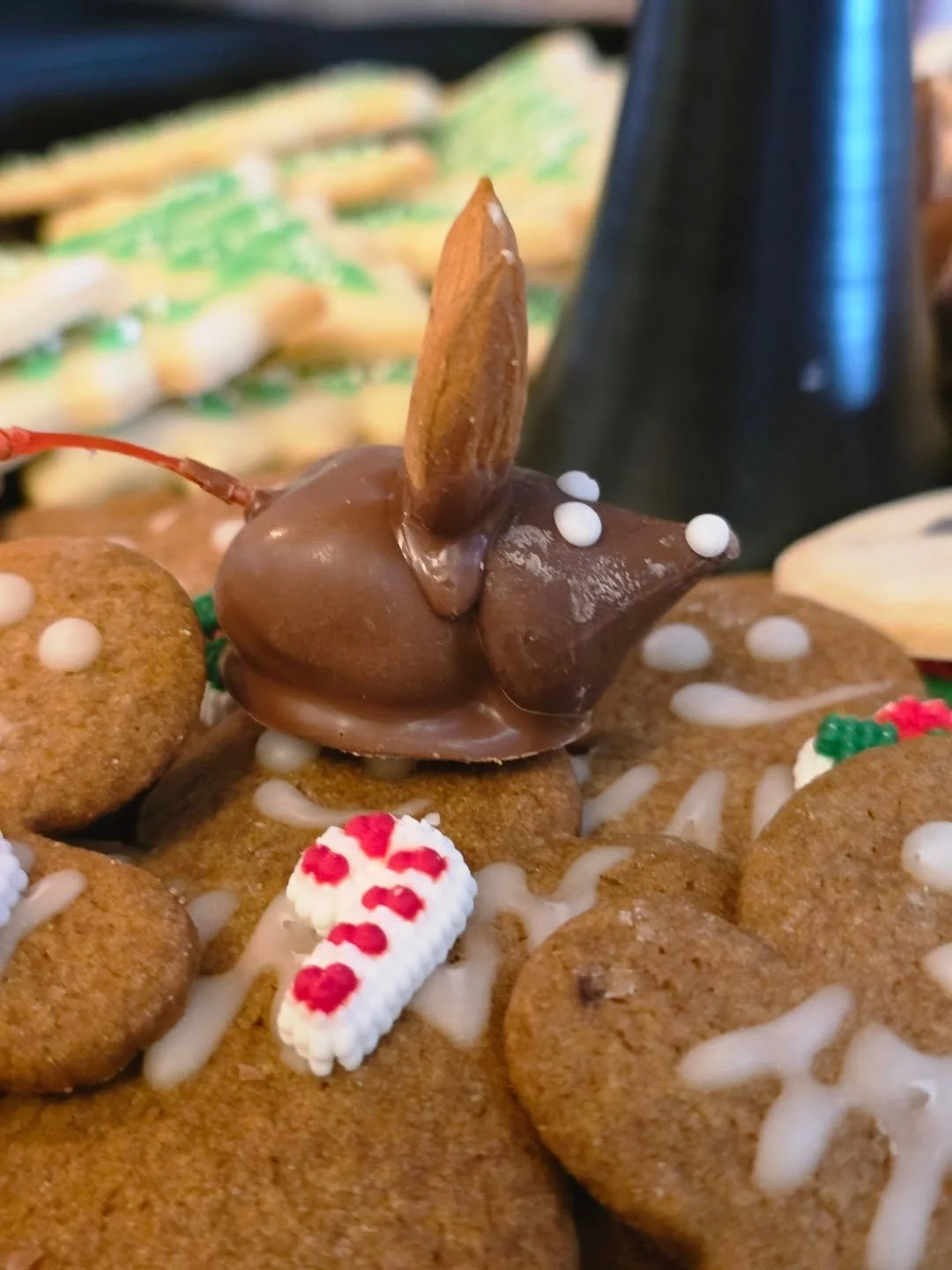 We did breakfast with Santa today with the boys. What a wonderful time! @whitebirchbarn was the perfect venue for it and the staff were all so kind!

My two boys really enjoyed themselves and this will be a cherished memory. 💜