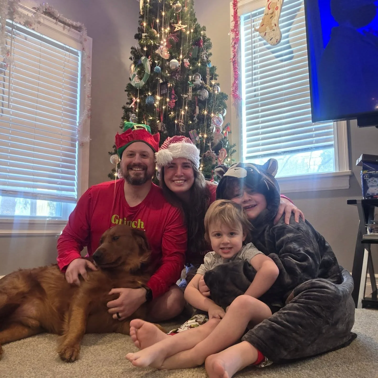 Merry Christmas 🎄

What a wonderful morning together. My heart is full 🥰 Gus Gus needed to shine all on his own too!