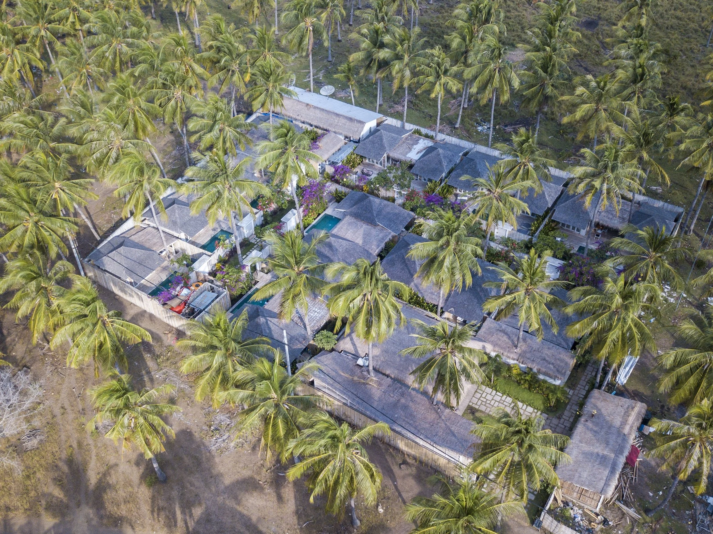 Vue aérienne d'un groupe de maisons entourées de nombreux cocotiers dans un environnement tropical. Ile des Gilis, Indonésie