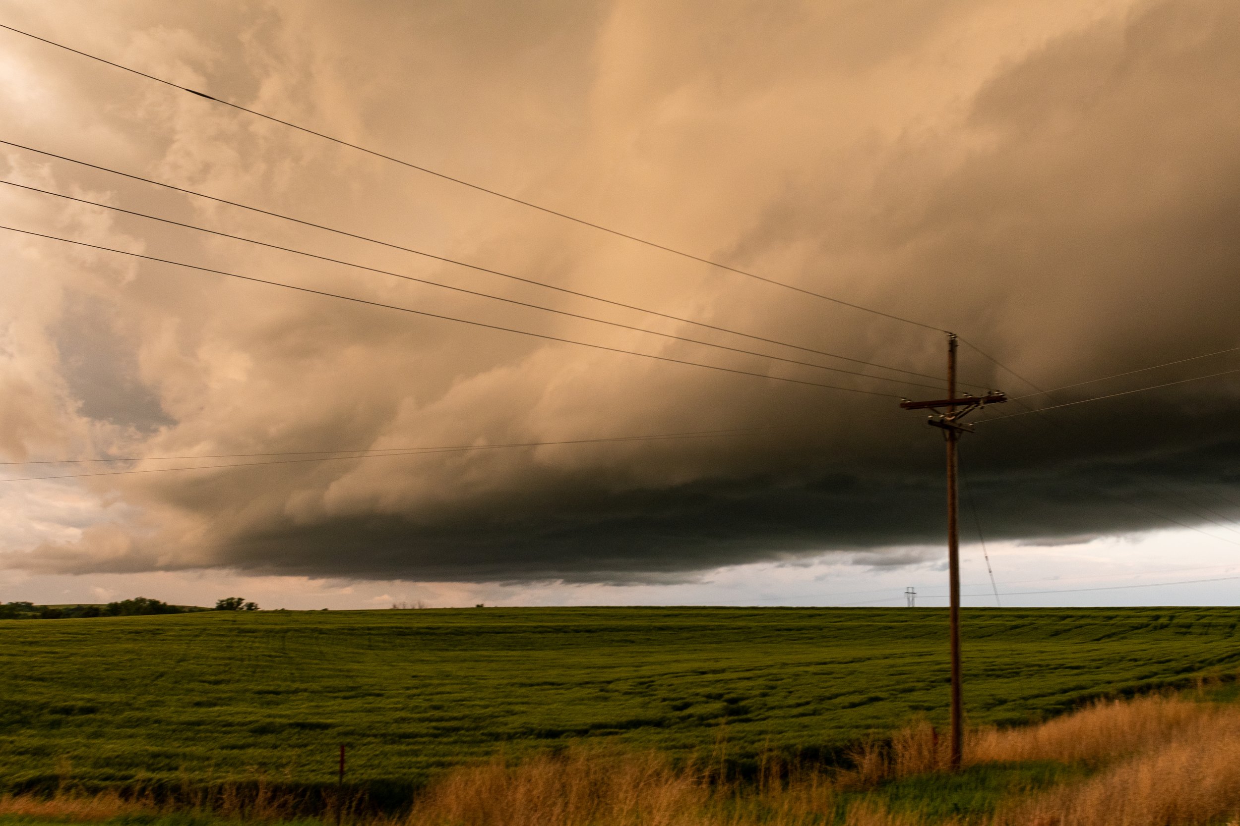 NIKON CORPORATION NIKON D3500 4950x3300_032934.jpg