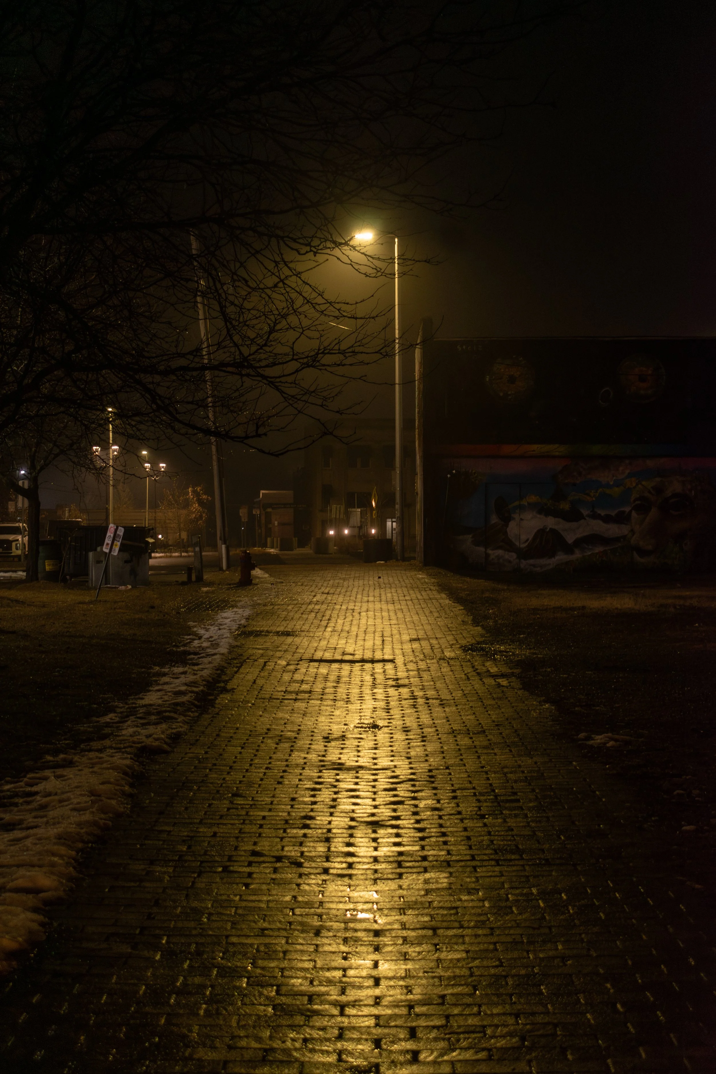 DSC_0027-Enhanced-NR.jpg