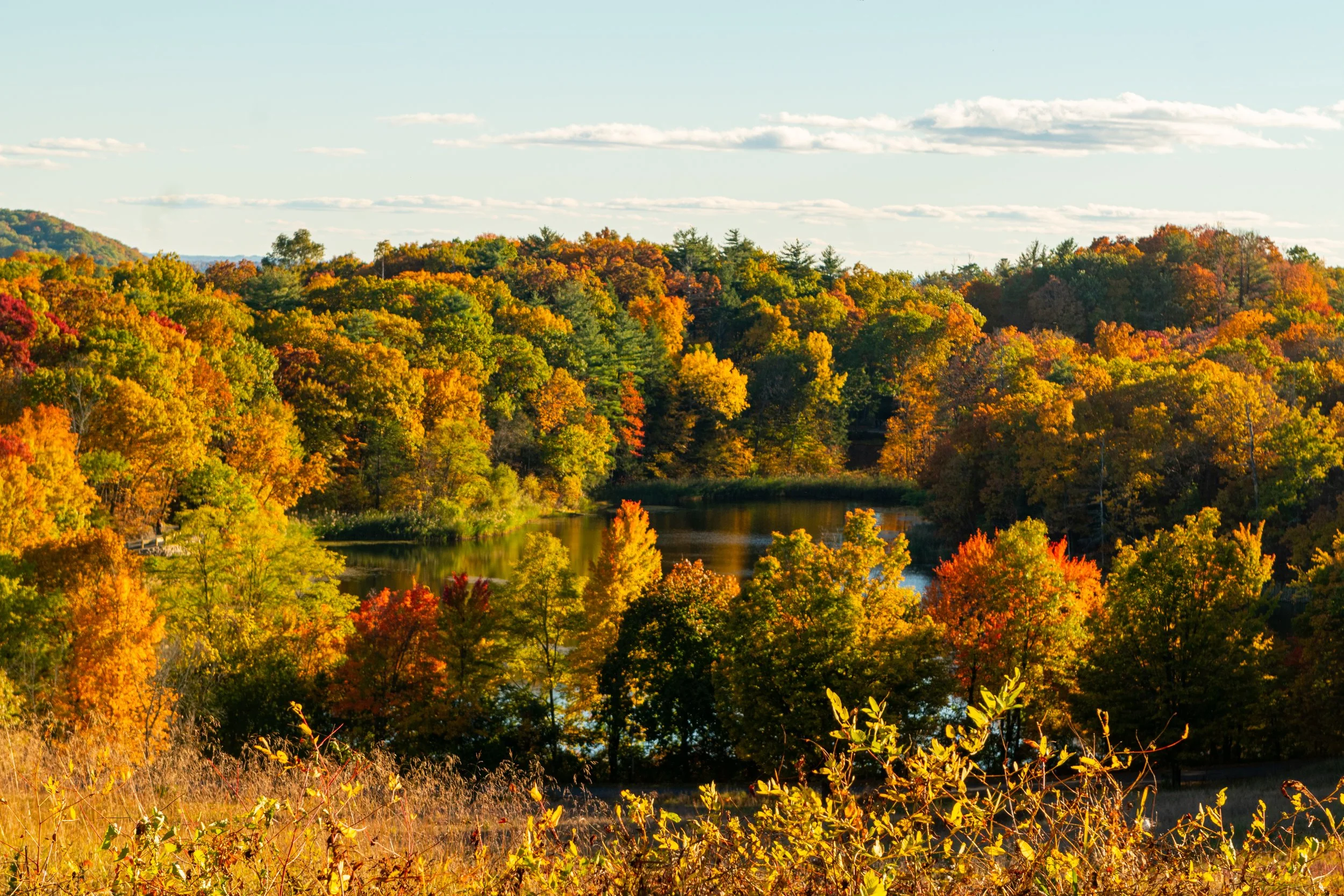 DSC_0099-2.jpg