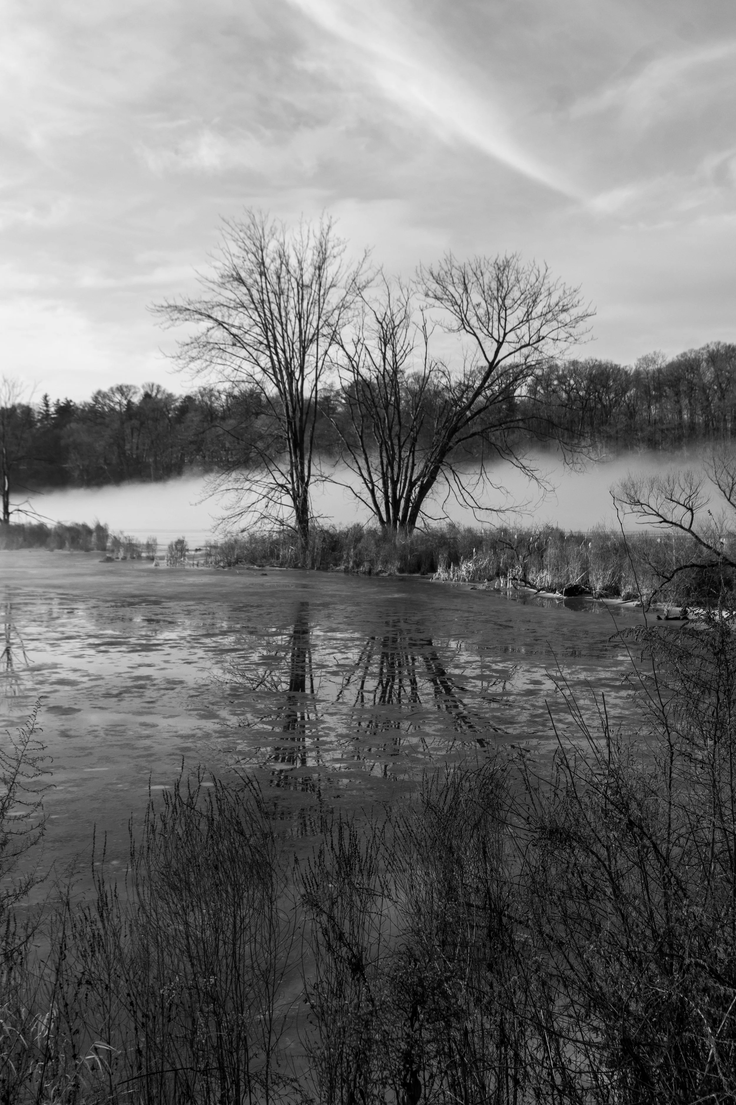 DSC_0052.jpg