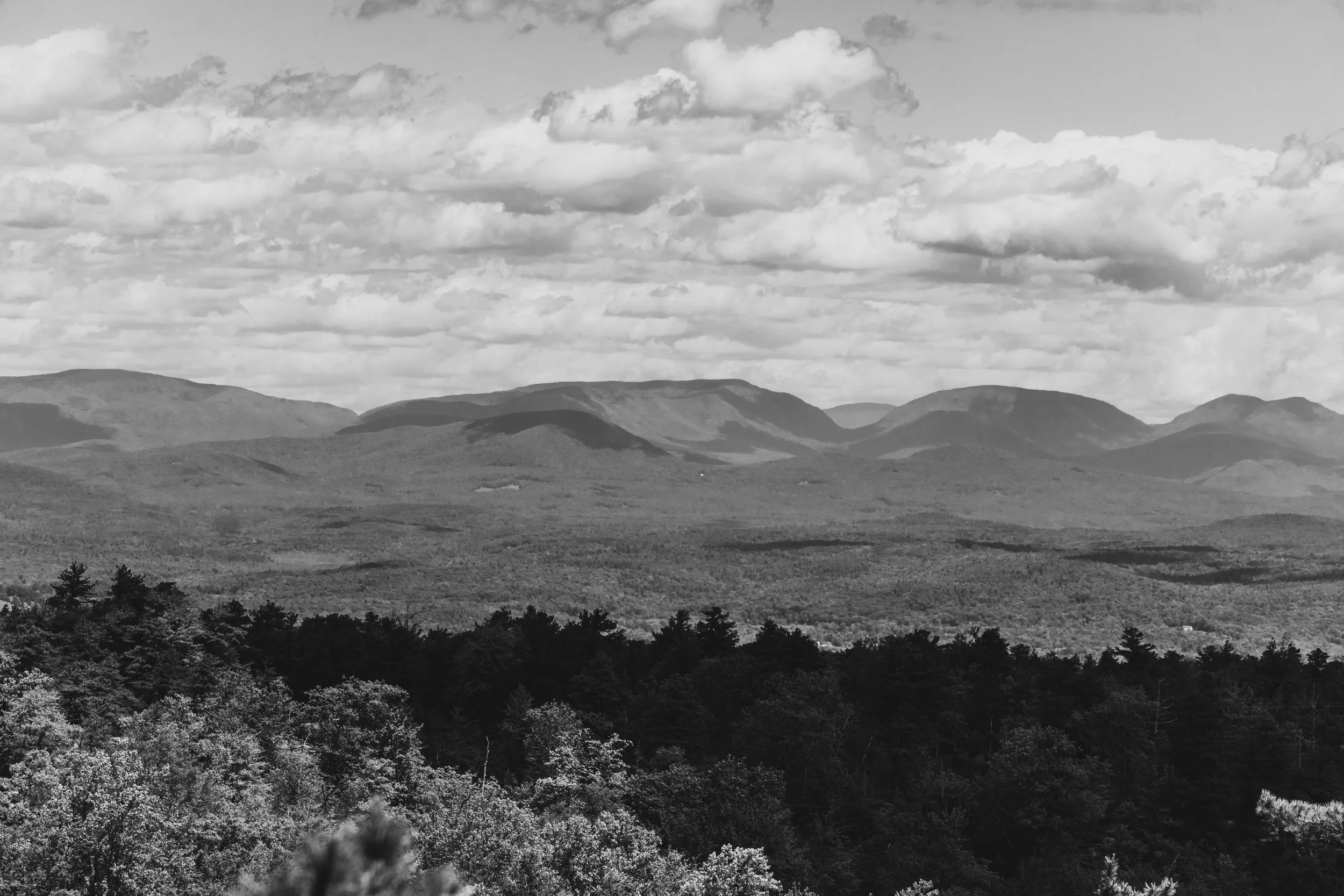 DSC_0273.jpg