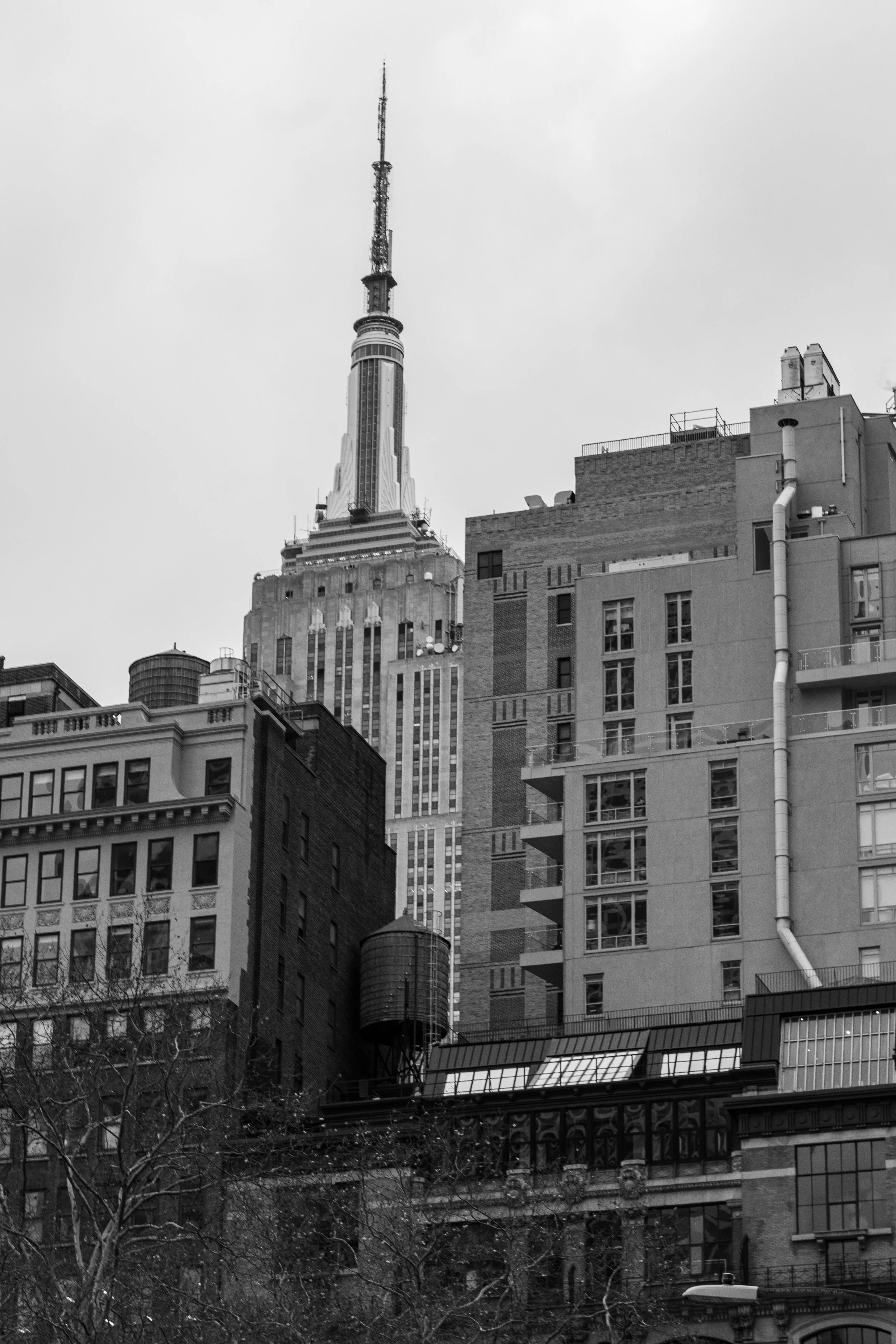DSC_0591.jpg