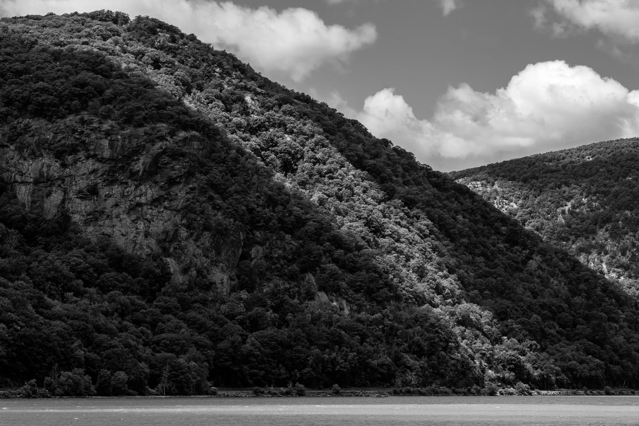 DSC_0195.jpg