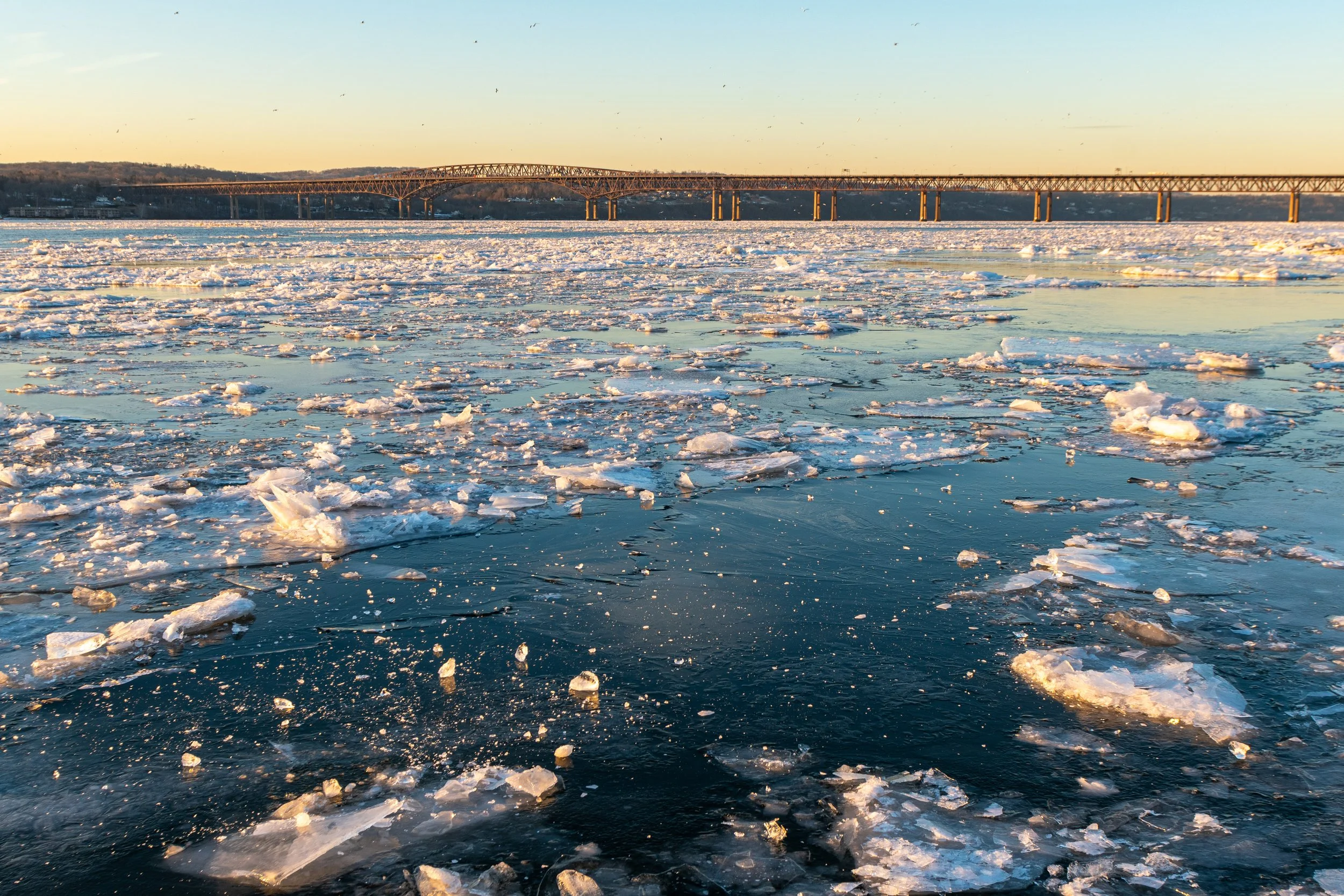 DSC_0164.jpg