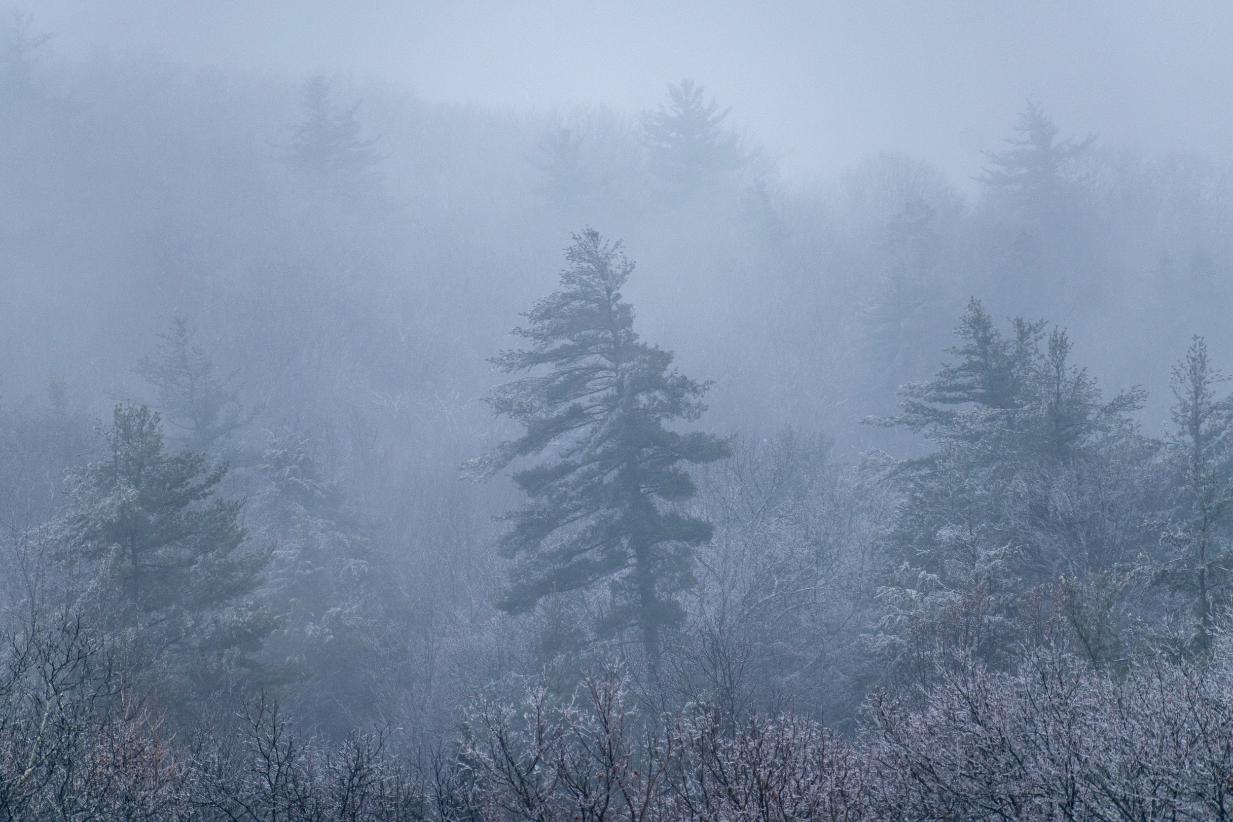 DSC_0258.jpg