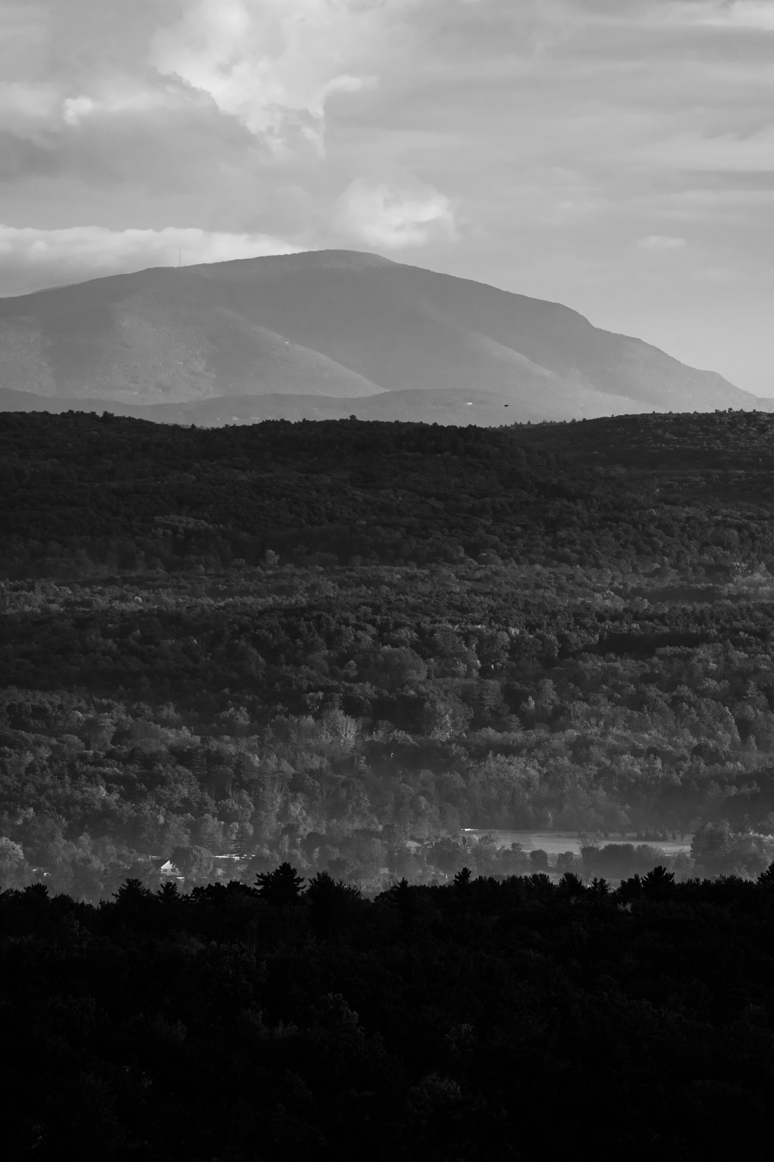 DSC_0153-2.jpg