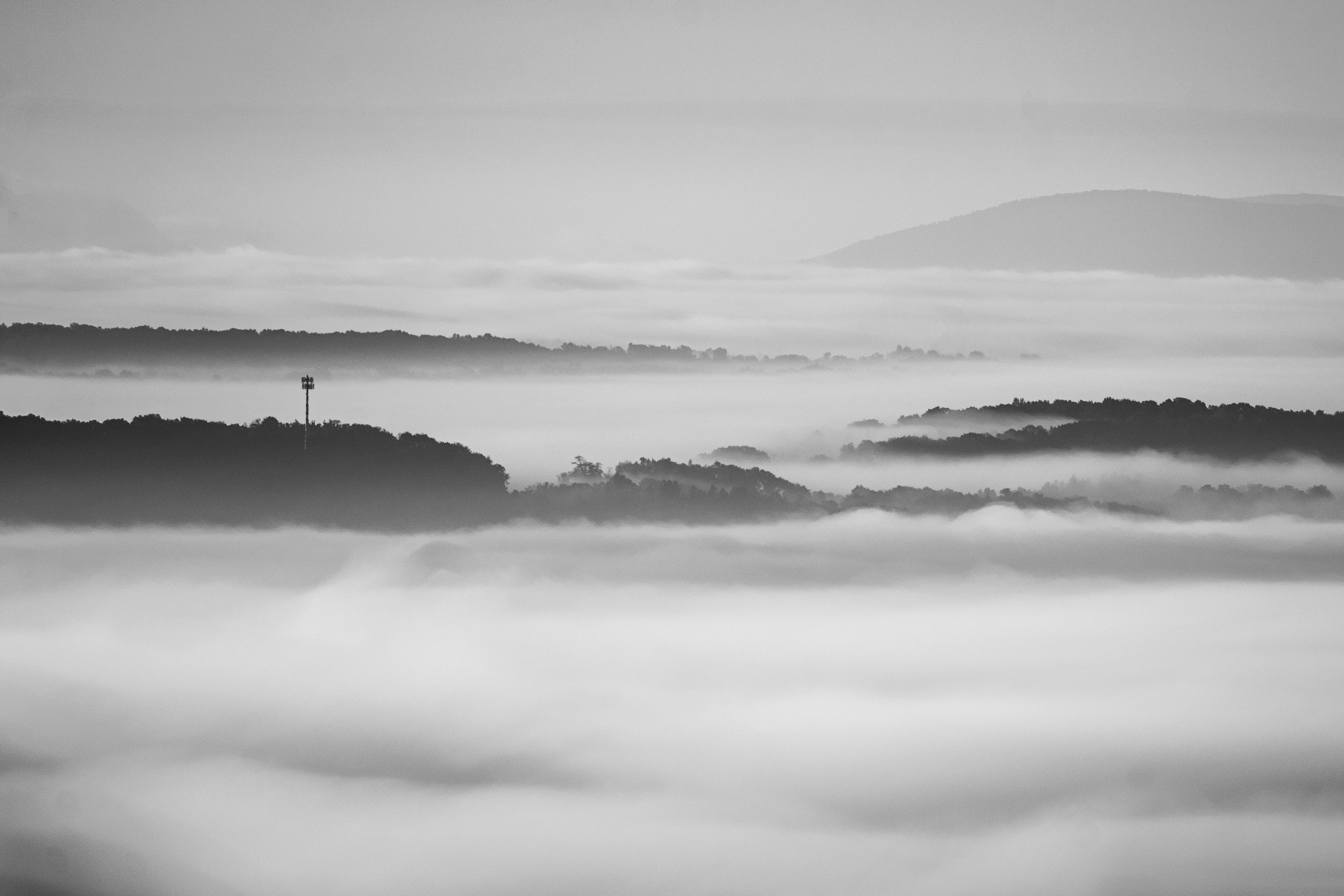 DSC_0121-2.jpg