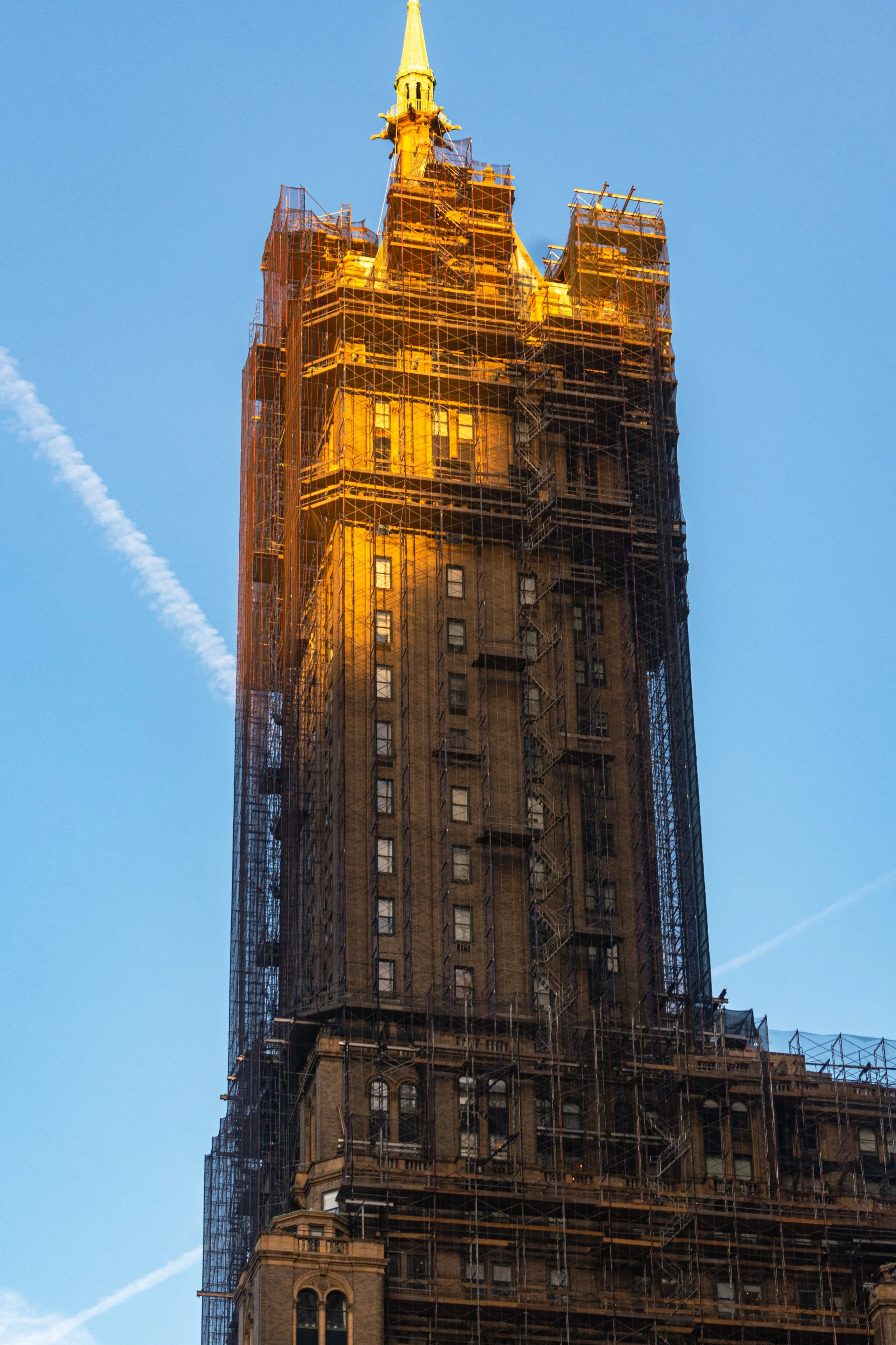 DSC_0249.jpg