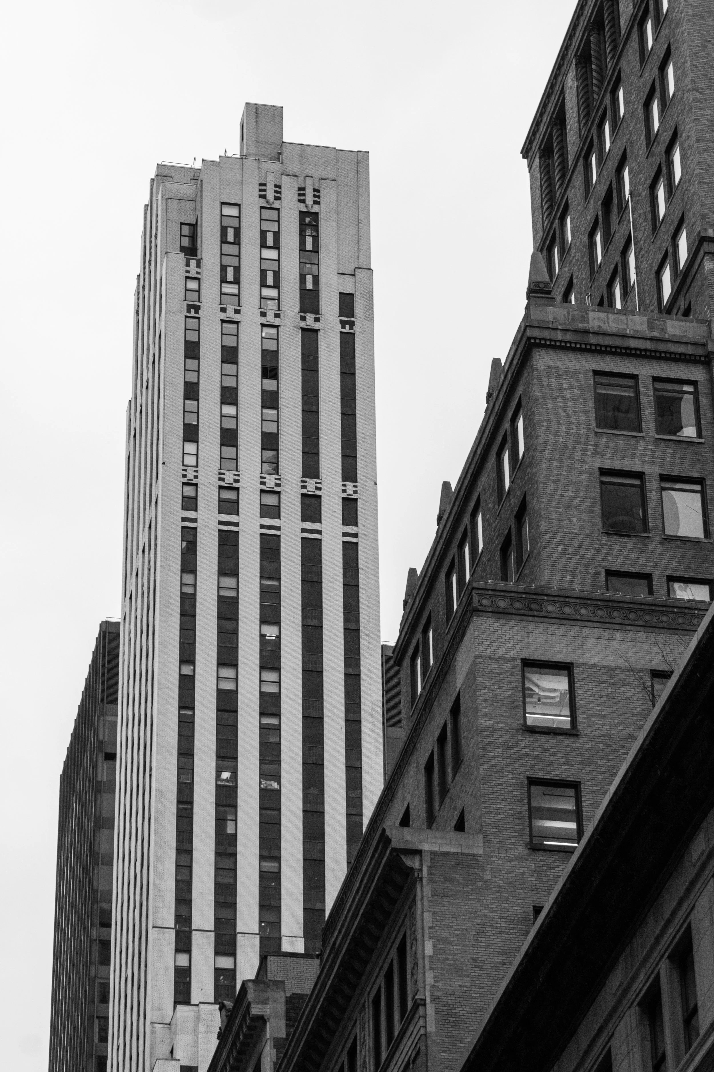 DSC_0610.jpg