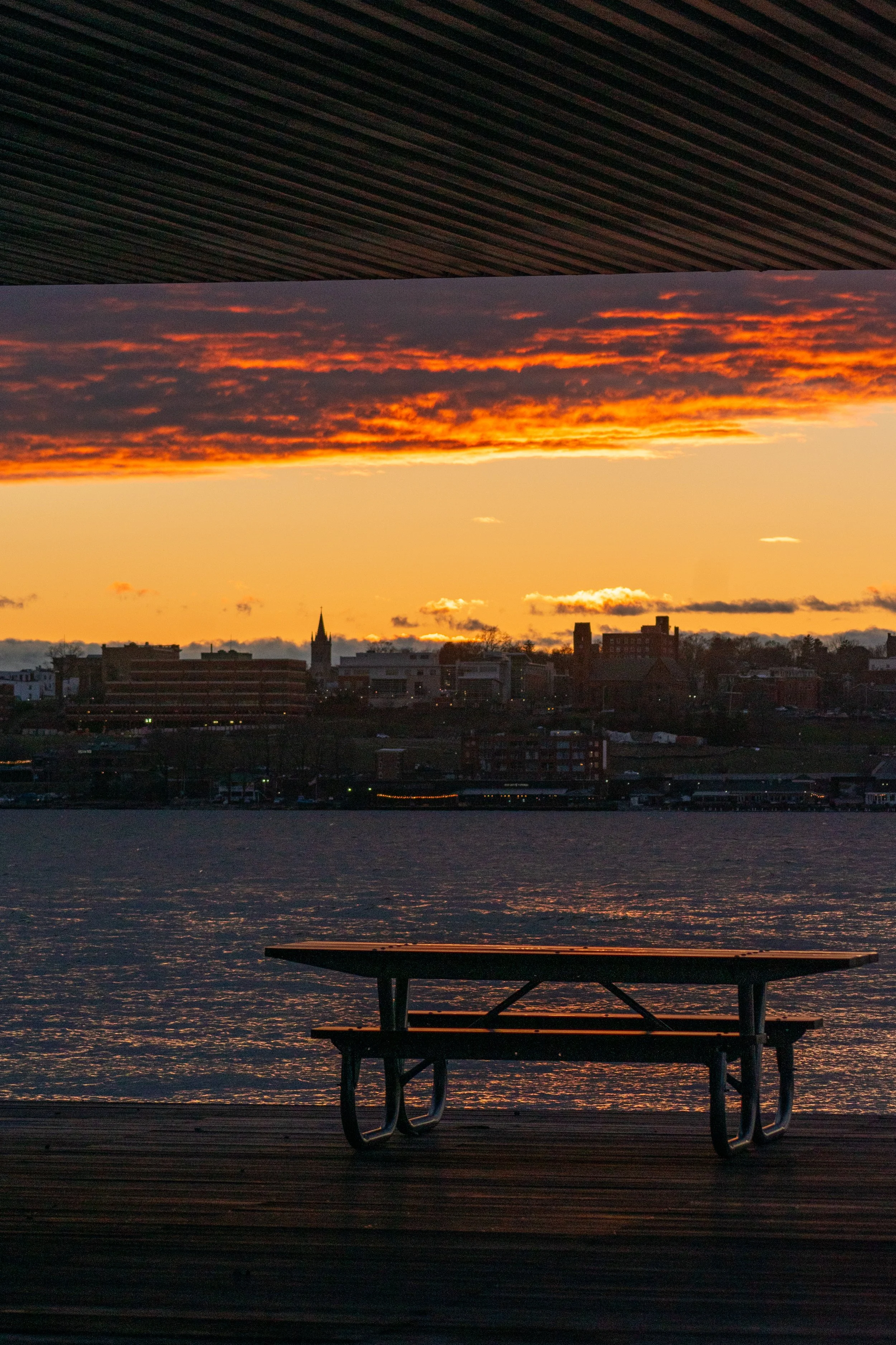 DSC_0081-3.jpg