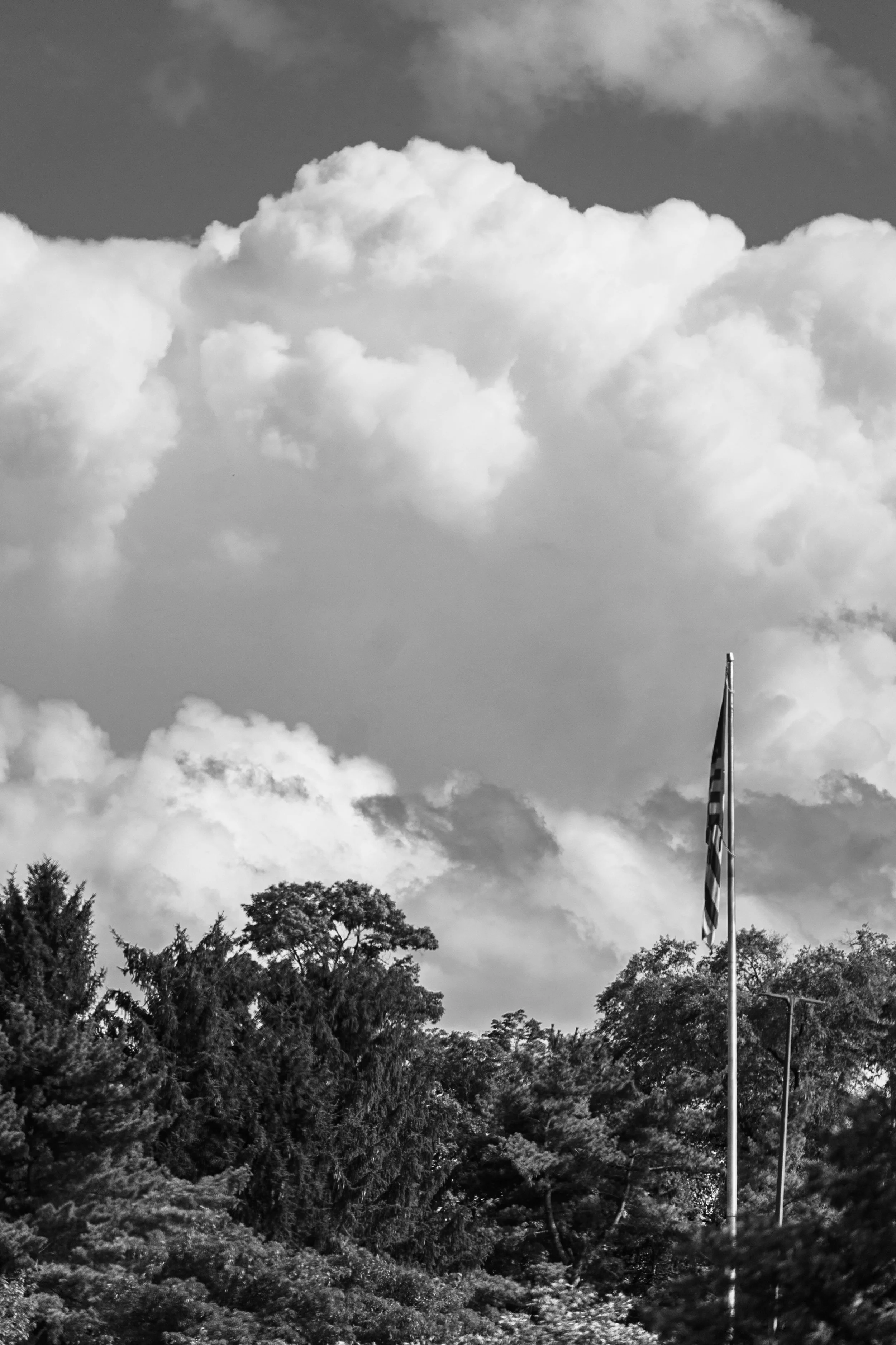 DSC_0095-3.jpg