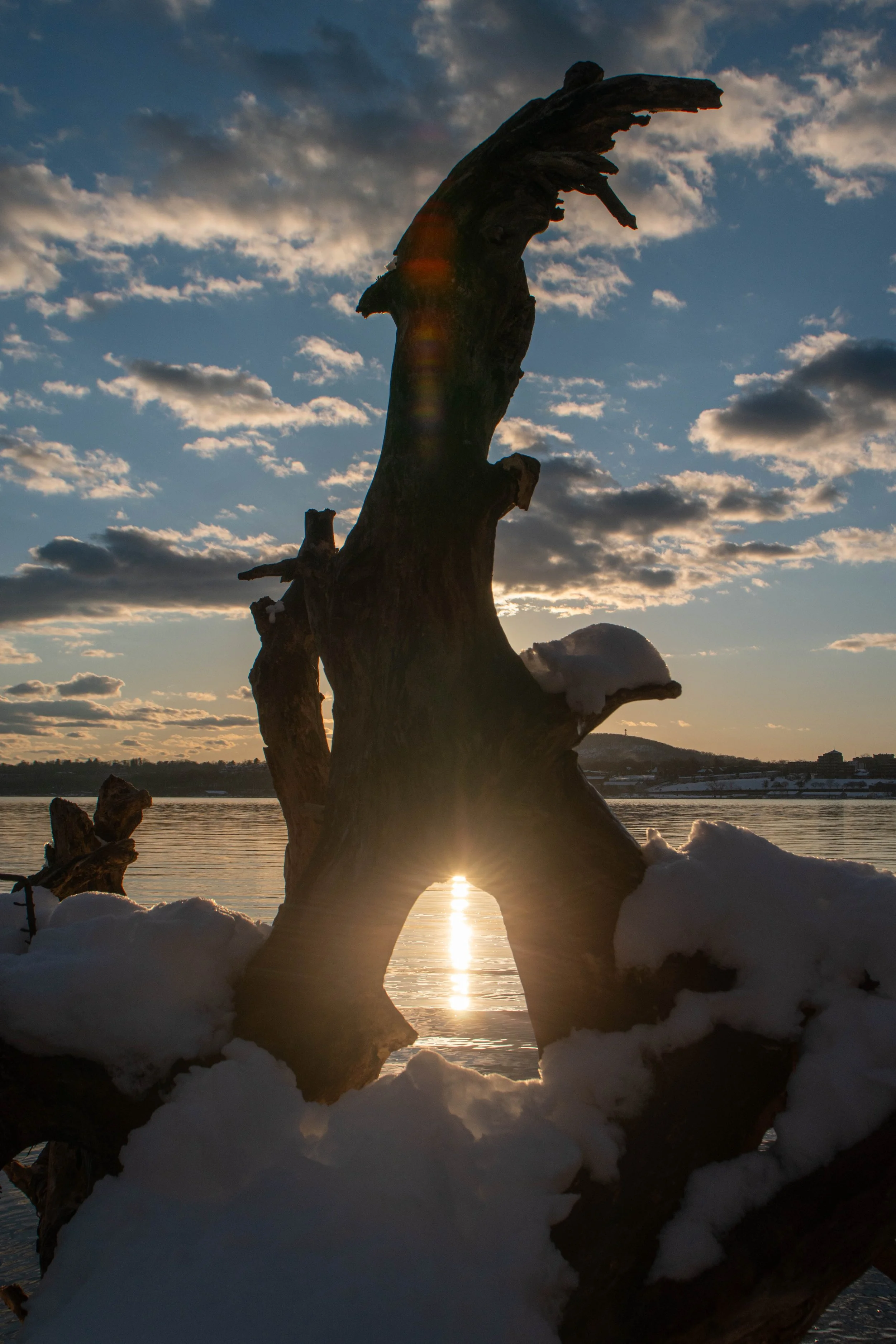 DSC_0151-2.jpg