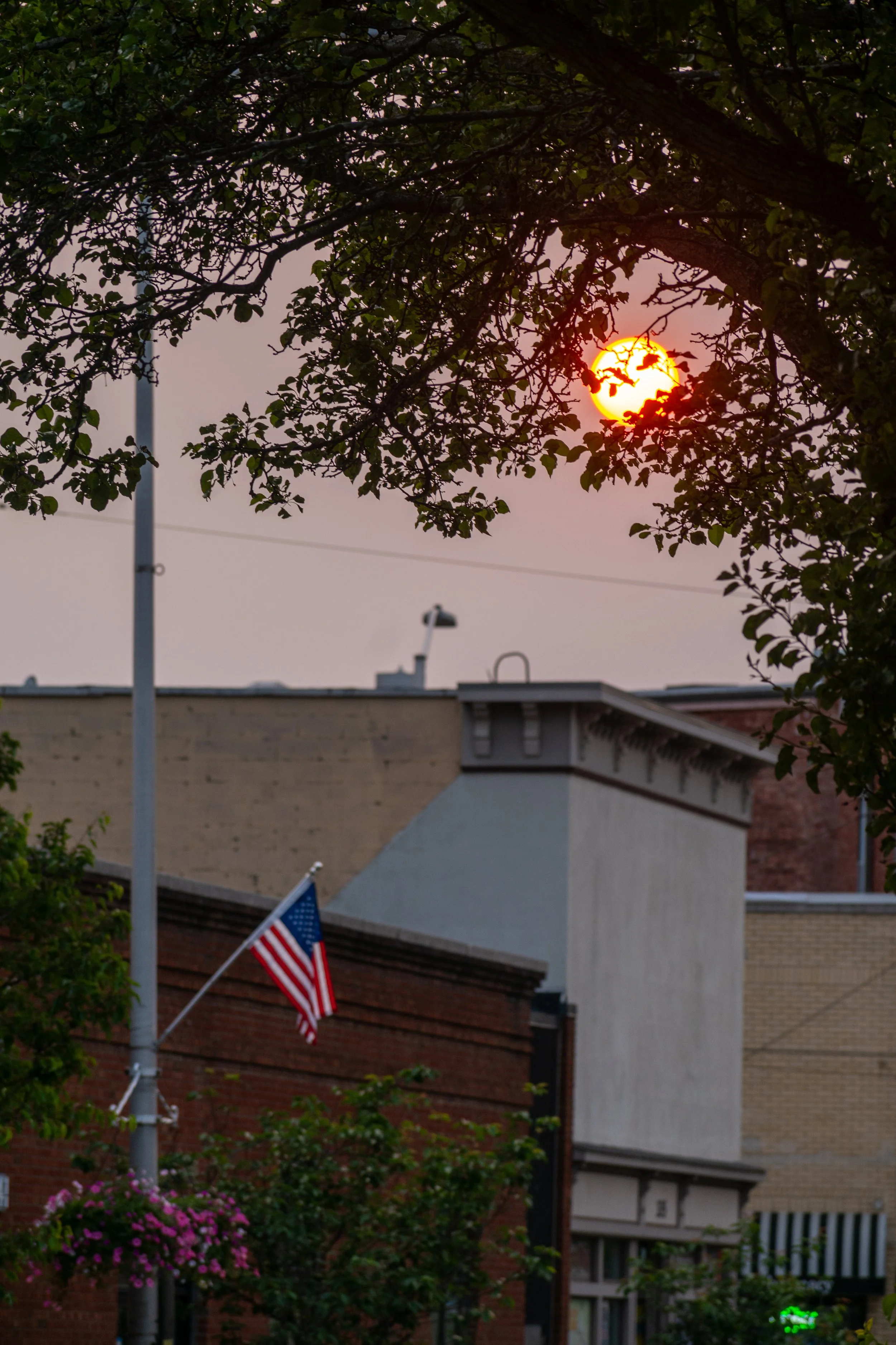 DSC_0010.jpg