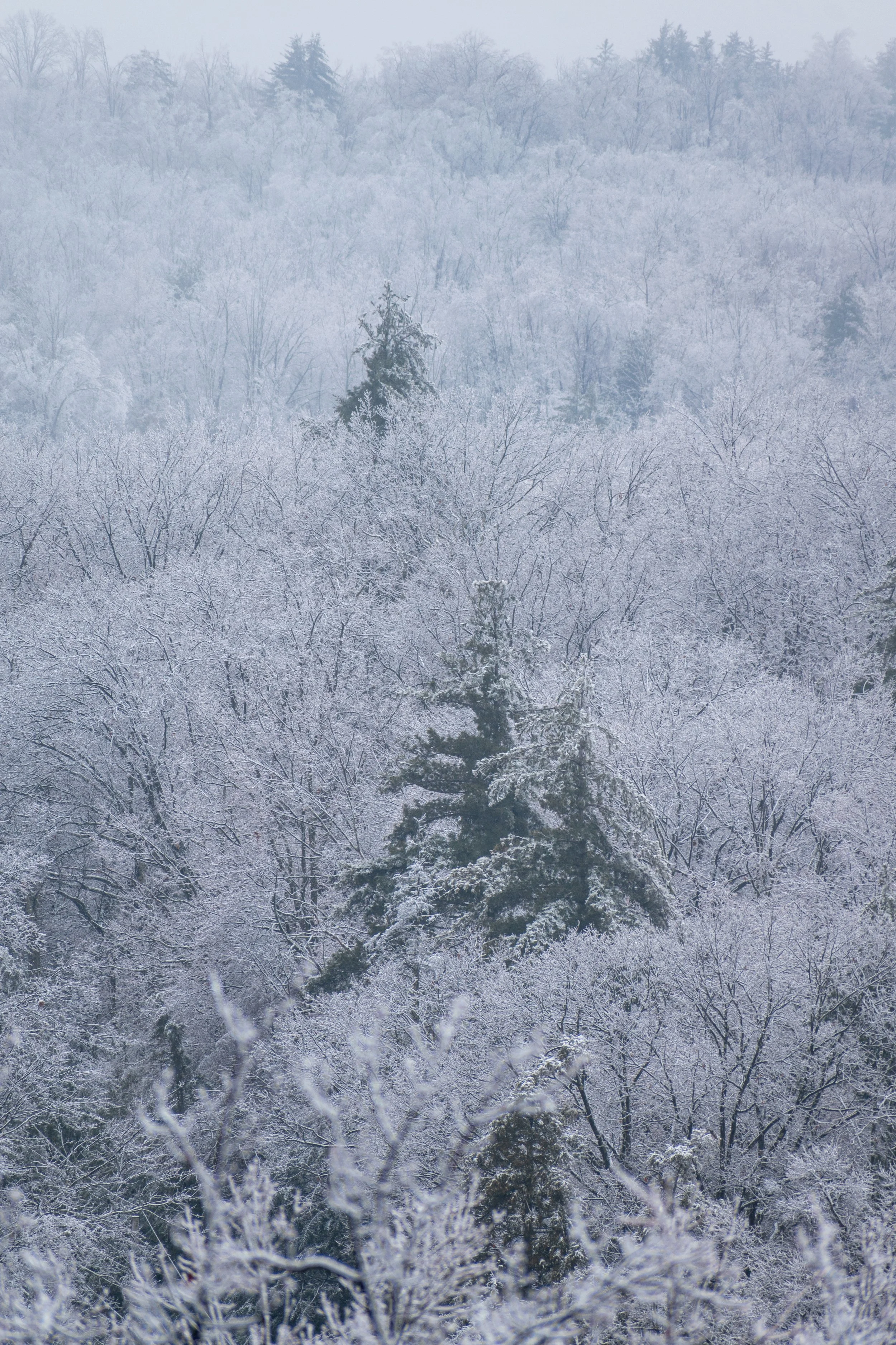 DSC_0221.jpg