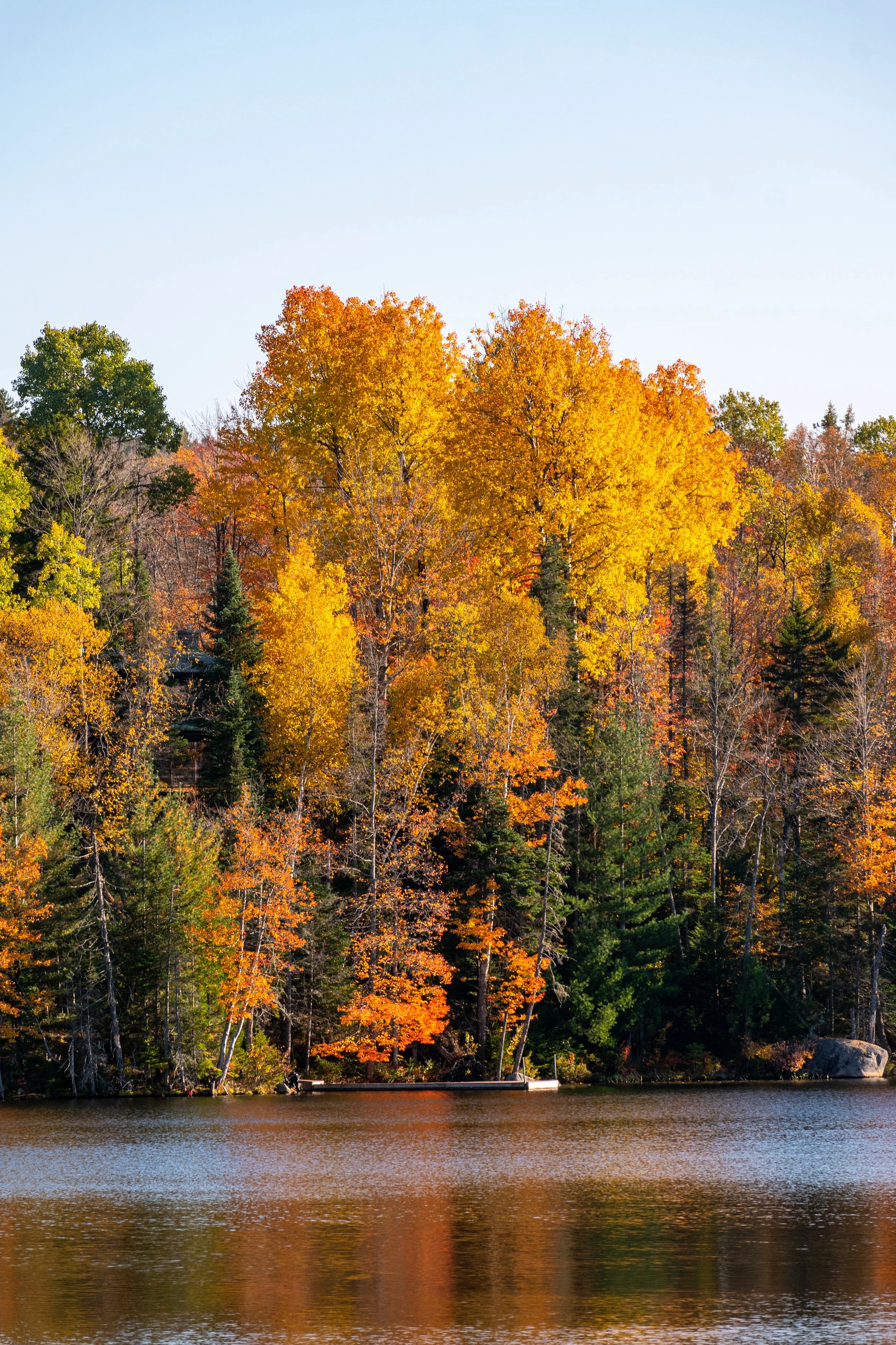 DSC_0734.jpg